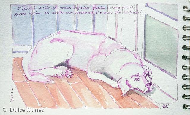 # dia 12 - animal de estimação – Imagem 1