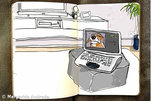 # dia 12 - o meu animal de estimação – Imagem 1