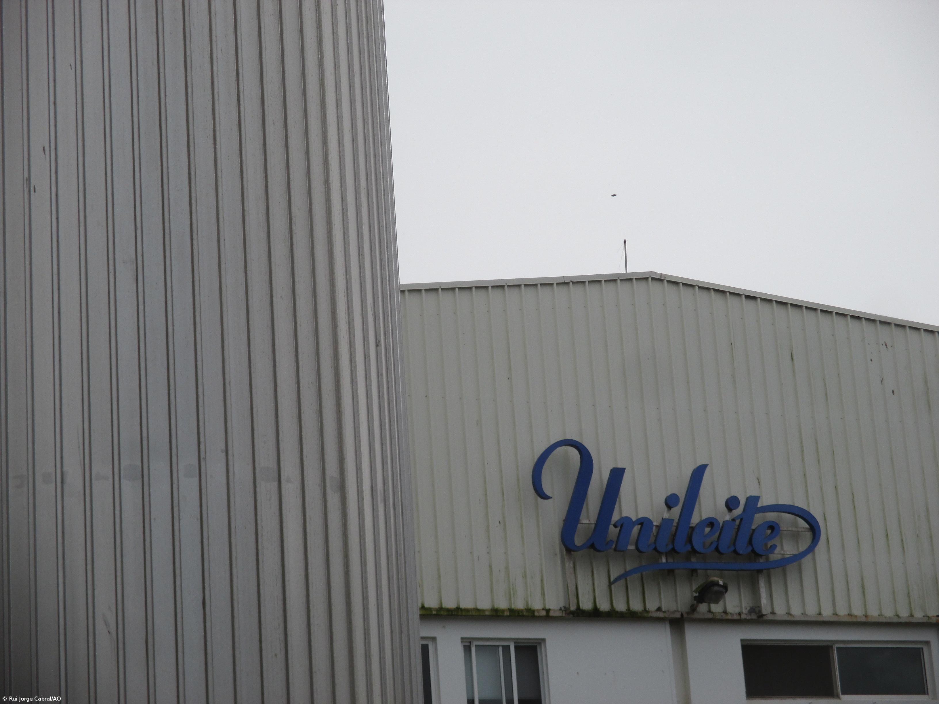 Unileite anuncia aumento de 1 cêntimo por litro de leite pago aos seus produtores – Imagem 1