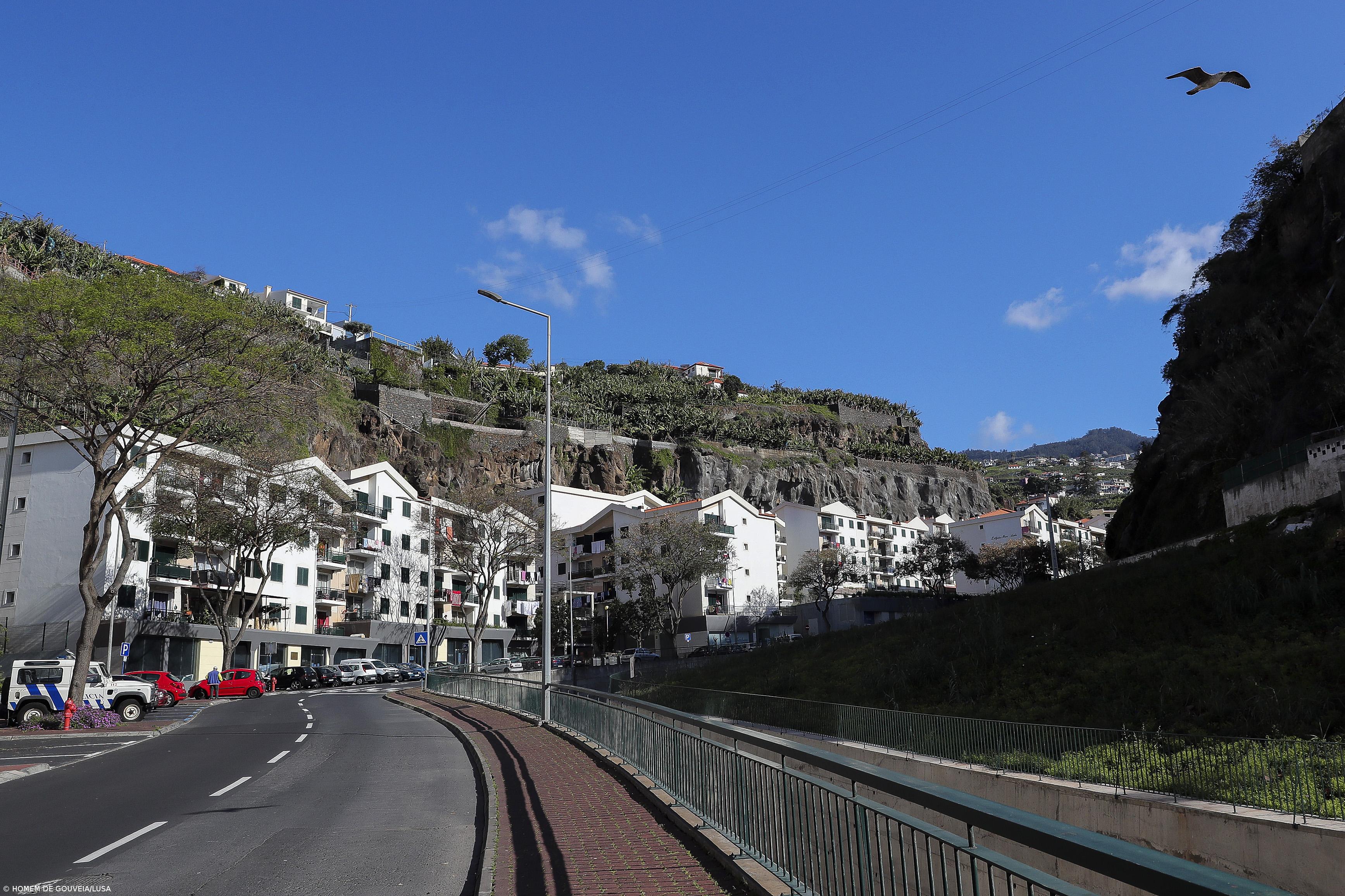 Governo da Madeira testa docentes e funcionários e dá máscaras a alunos – Imagem 1