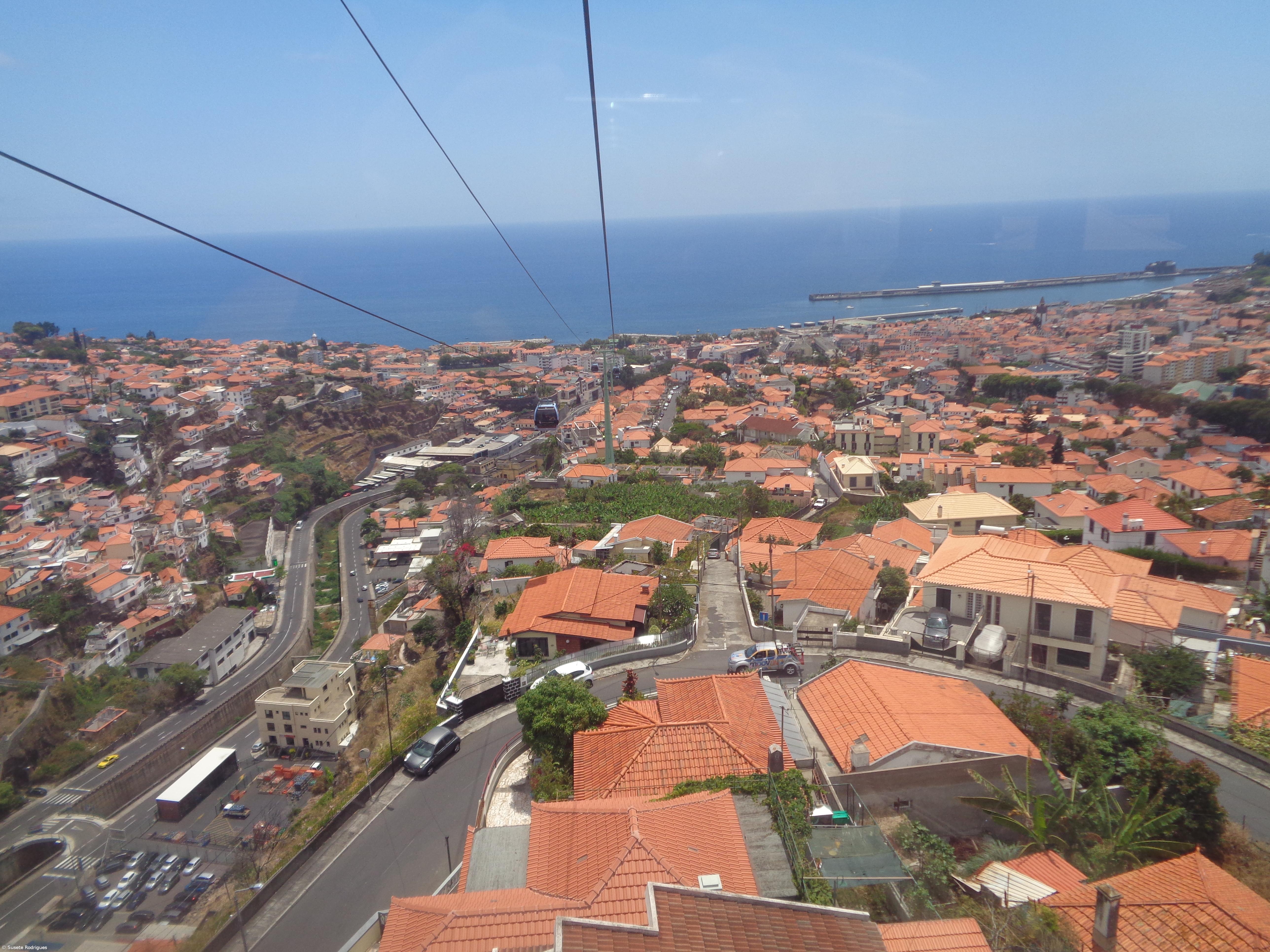 Homem detido por suspeita de crime de violação e violência doméstica na Madeira – Imagem 1