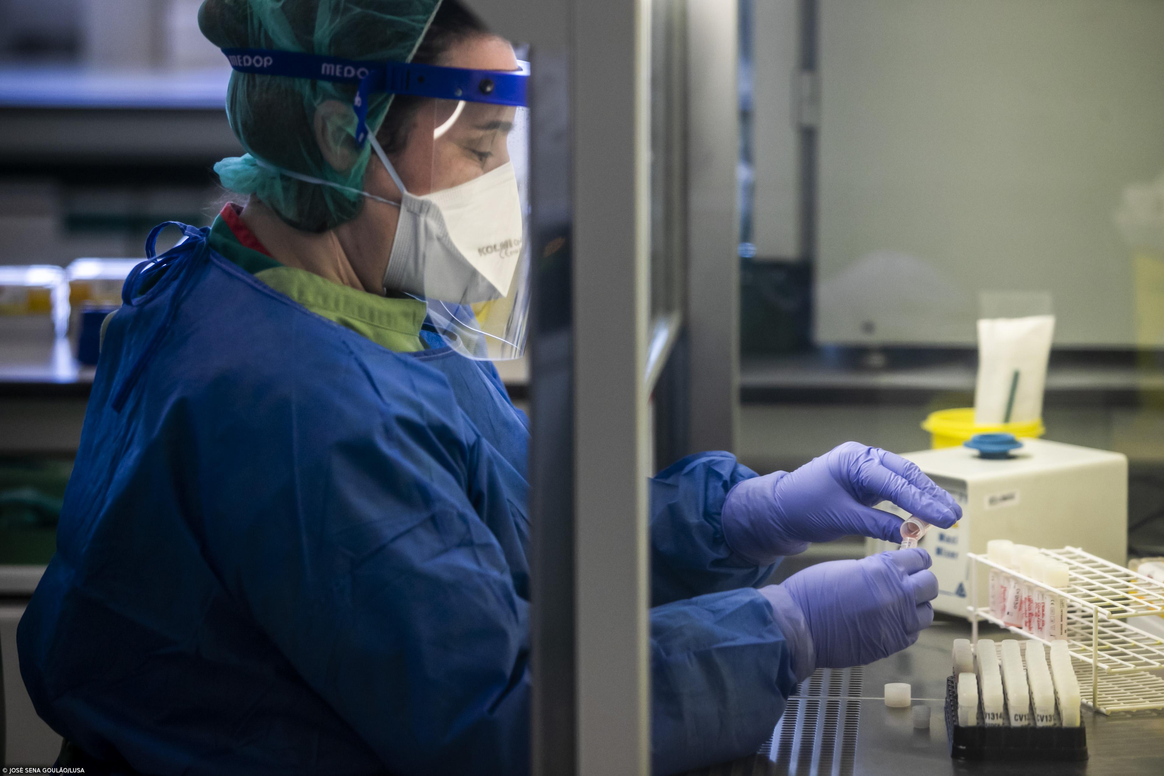 Detetada nova variante do coronavírus na África do Sul – Imagem 1