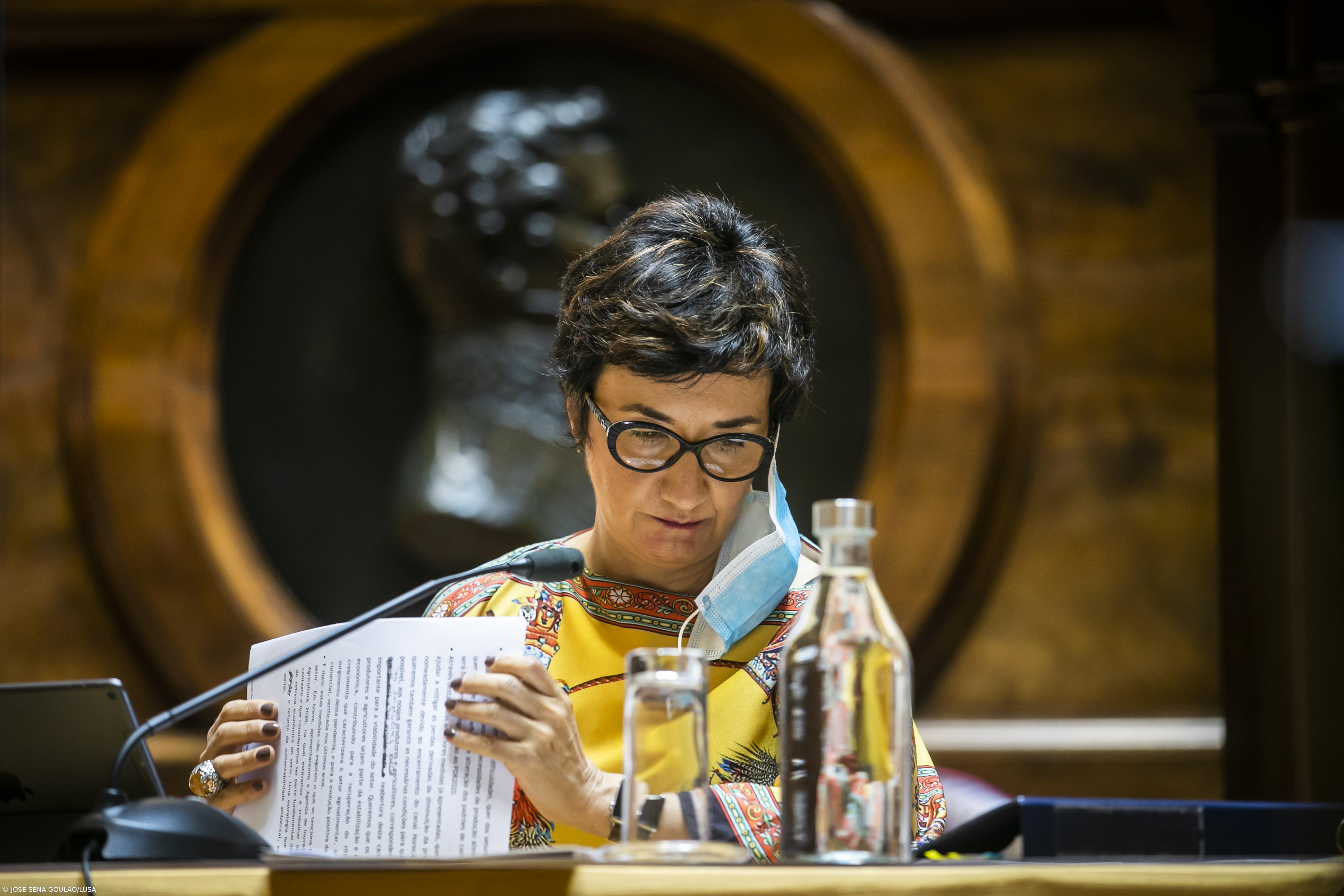 Proposta apresentada no contexto mais difícil da história - Ministra Agricultura – Imagem 1