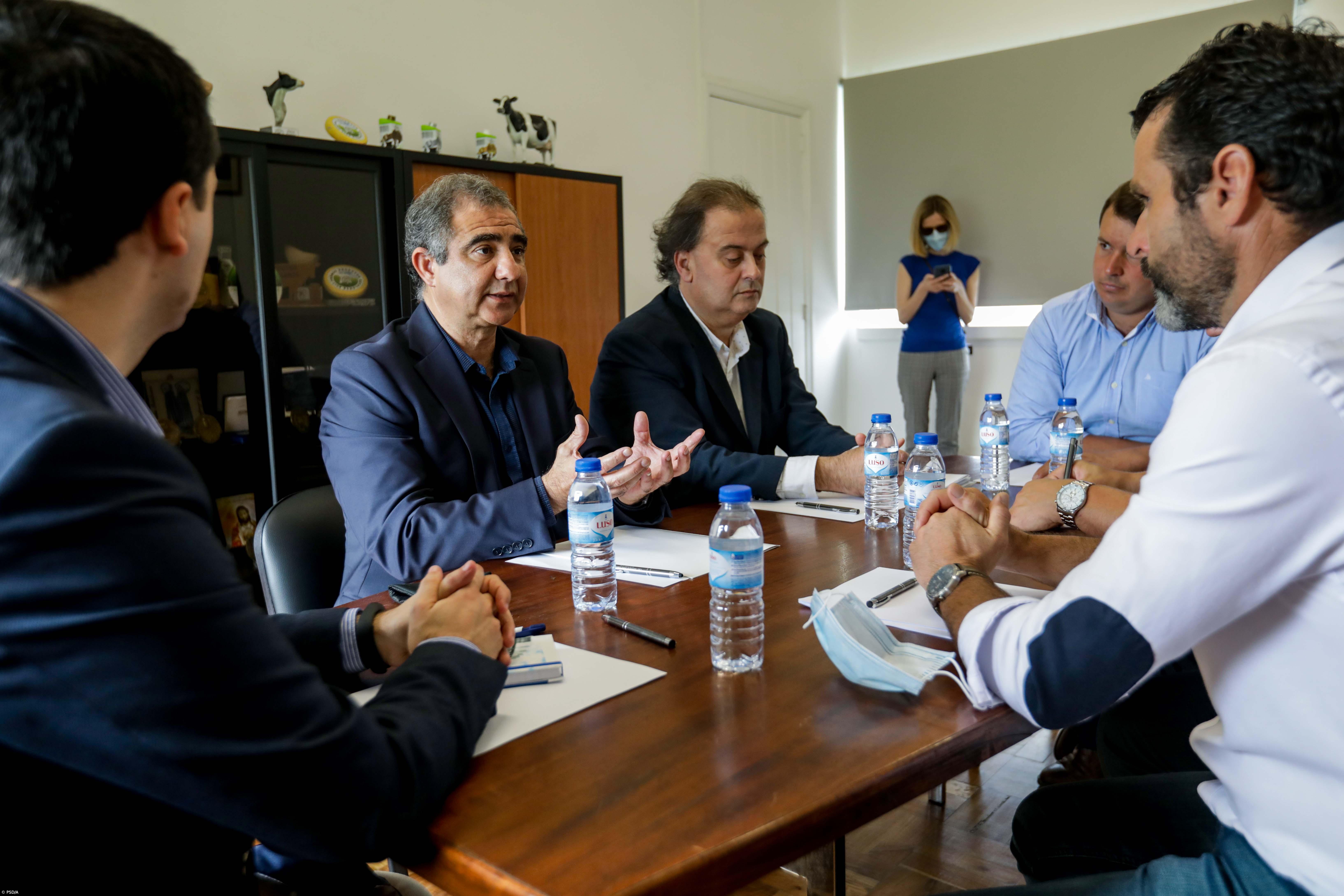 Líder do PSD/Açores defende programa rural para os jovens agricultores  – Imagem 1