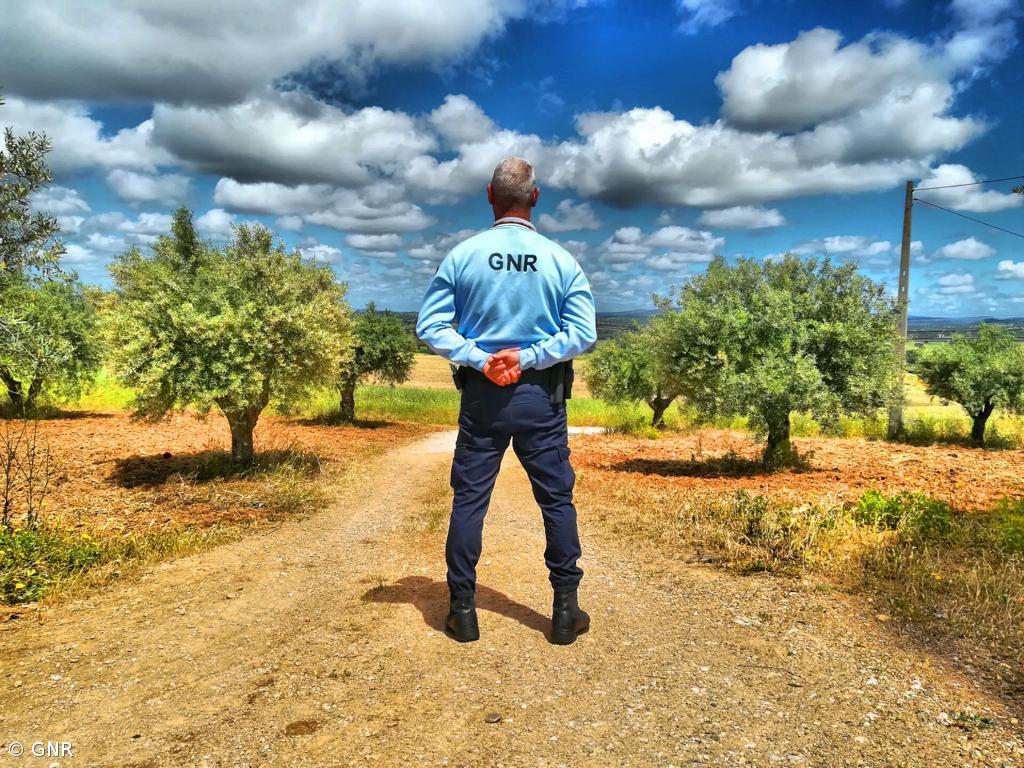Adesão à greve dos guardas florestais da GNR chegou aos 95% – Imagem 1