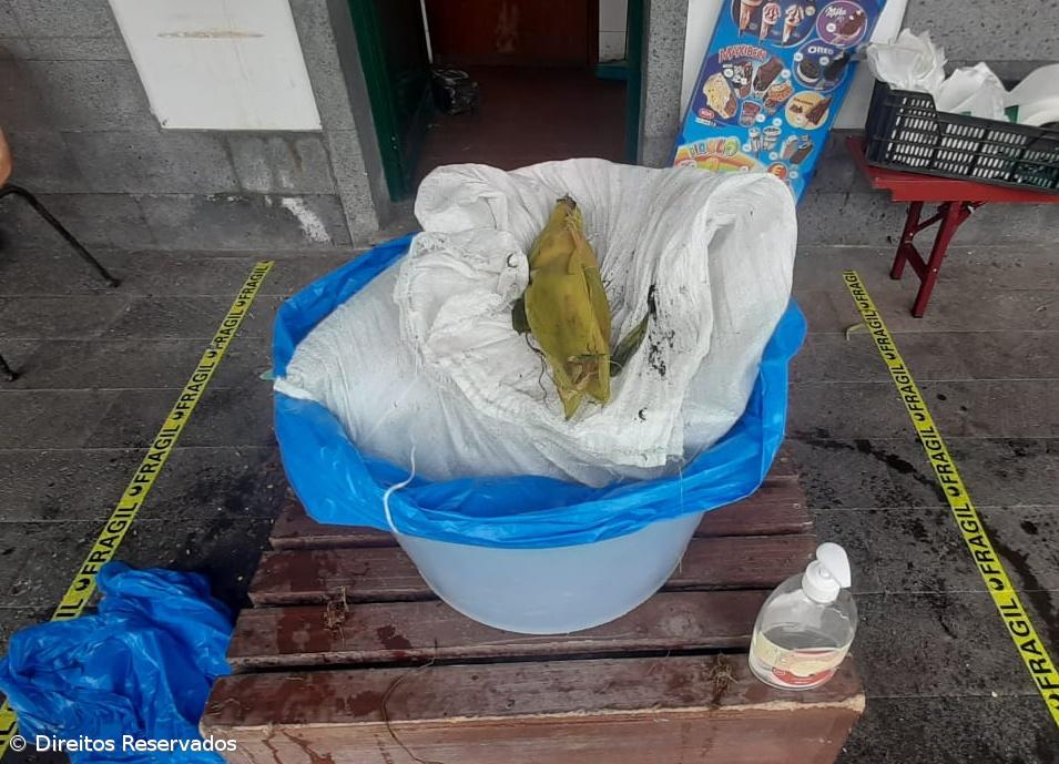 Não há Covid-19 que afaste os açorianos do milho das Furnas – Imagem 1