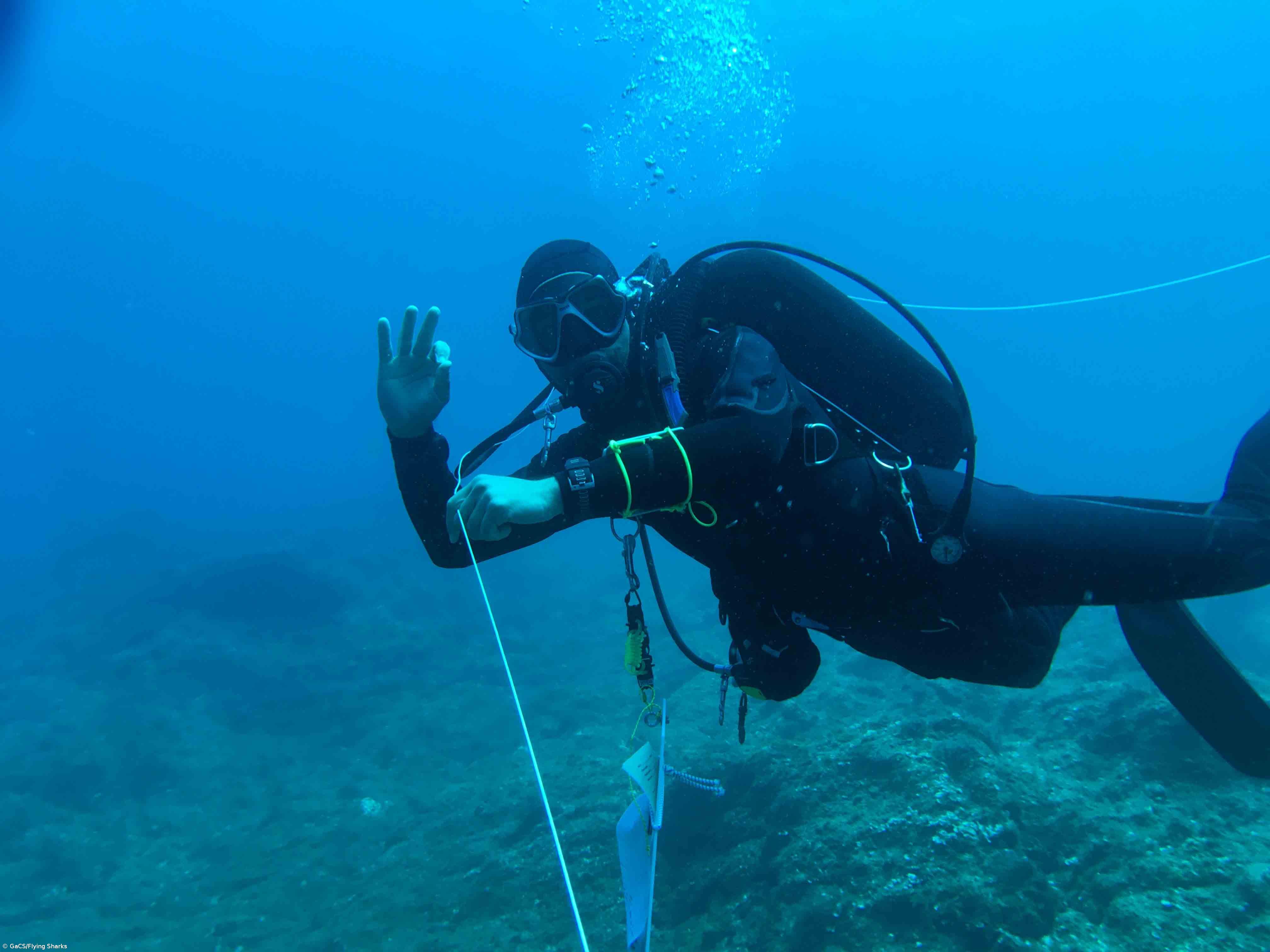 Implementada Via Verde Acidente de Mergulho – Imagem 1