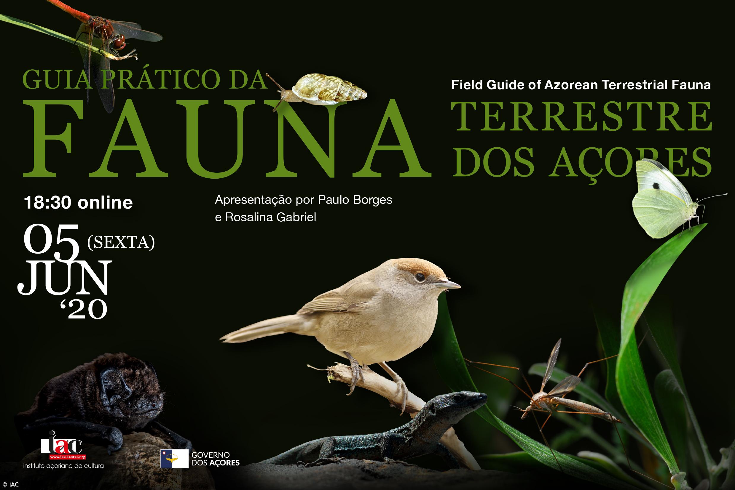 Lançamento do “Guia Prático da Fauna Terrestre dos Açores” – Imagem 1