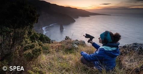 Lançado projeto para contabilizar aves marinhas na Madeira e Açores gravando sons – Imagem 1