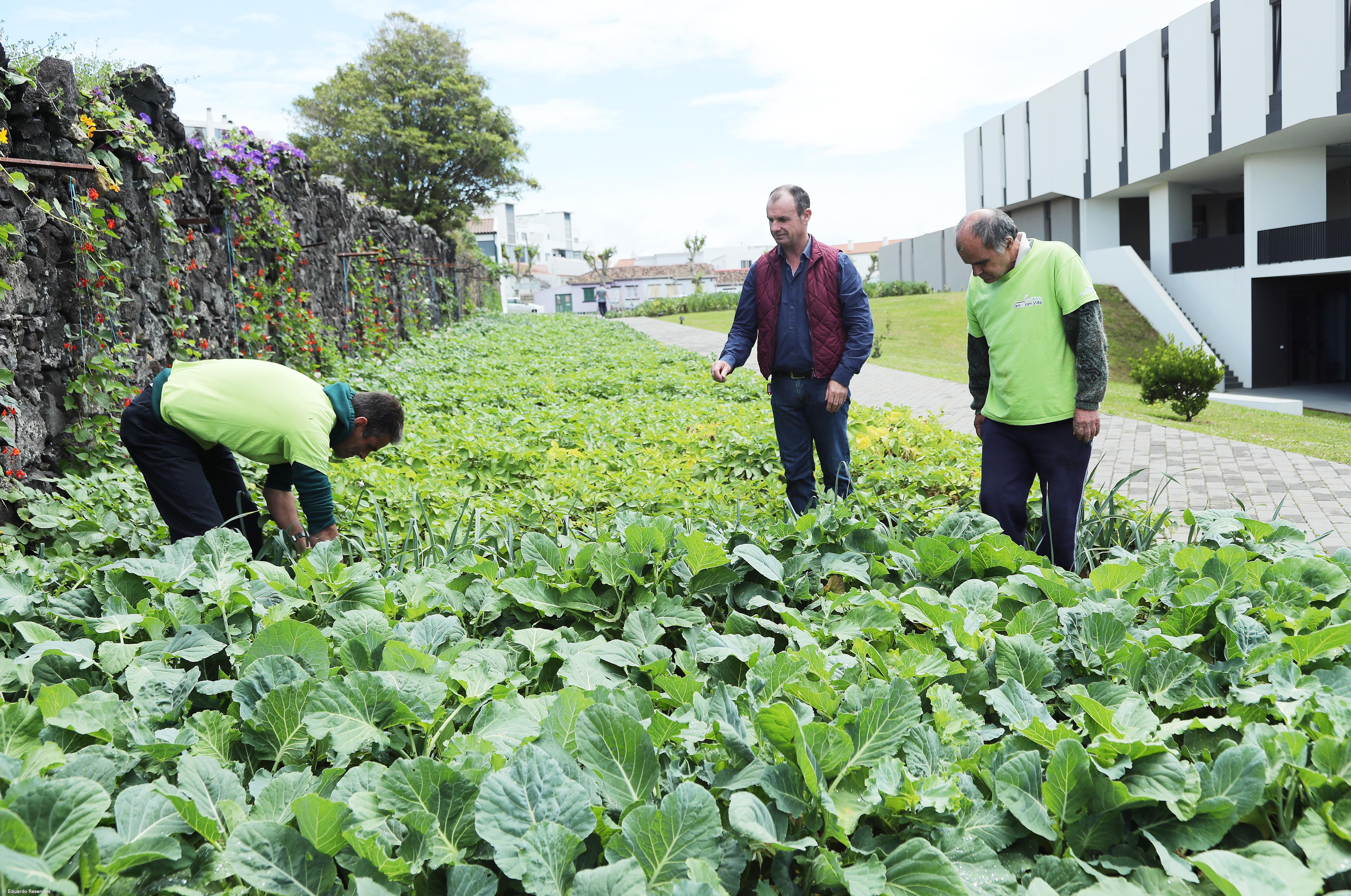 Projeto reergue vidas a partir do trabalho na terra – Imagem 5