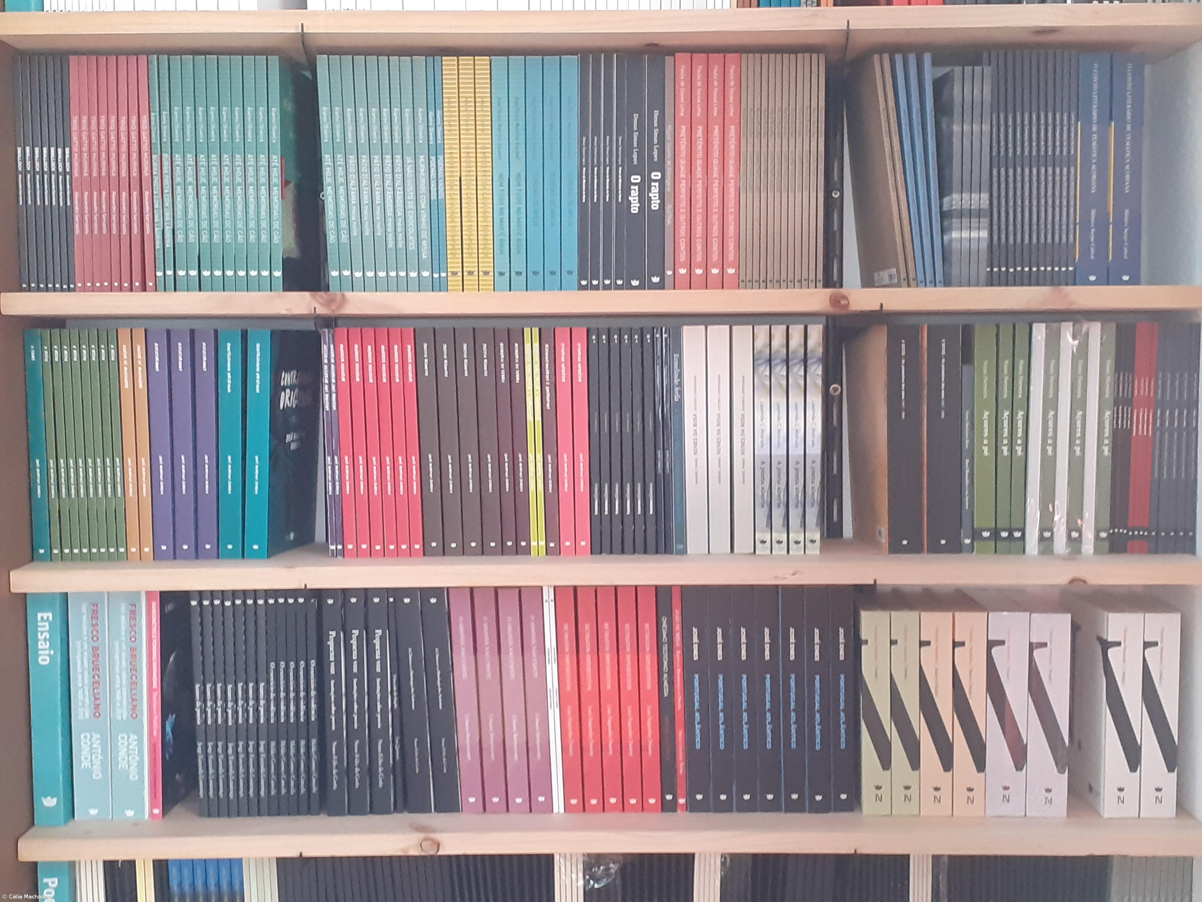 Única livraria da ilha do Pico nos Açores pretende reabrir em abril – Imagem 1