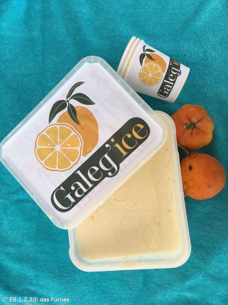  EB 1,2,3 / JI das Furnas na X Edição do Concurso IdeiAçores 2020. – Imagem 1