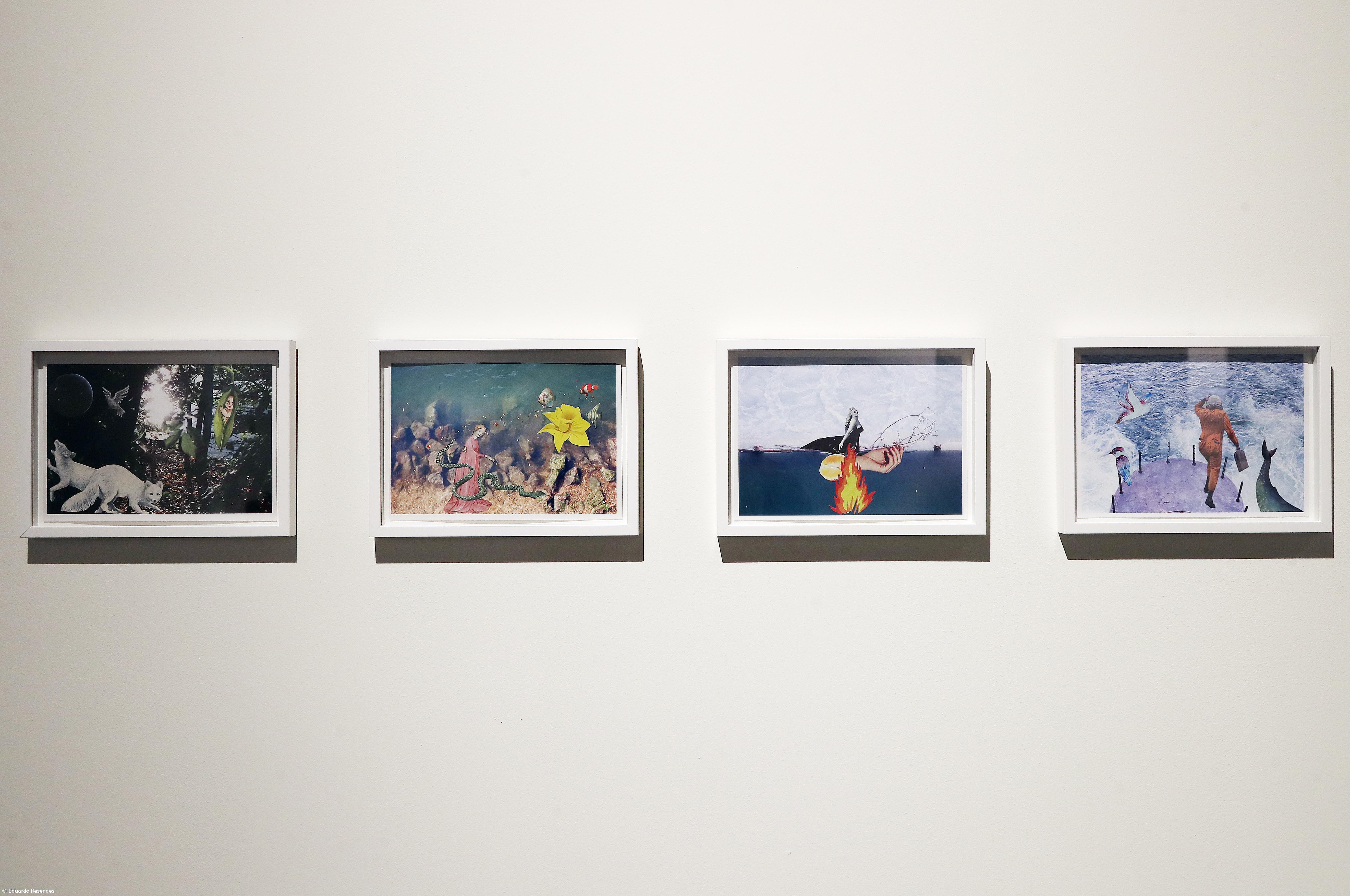 Arquipélago quer apostar na divulgação da sua coleção de arte – Imagem 9