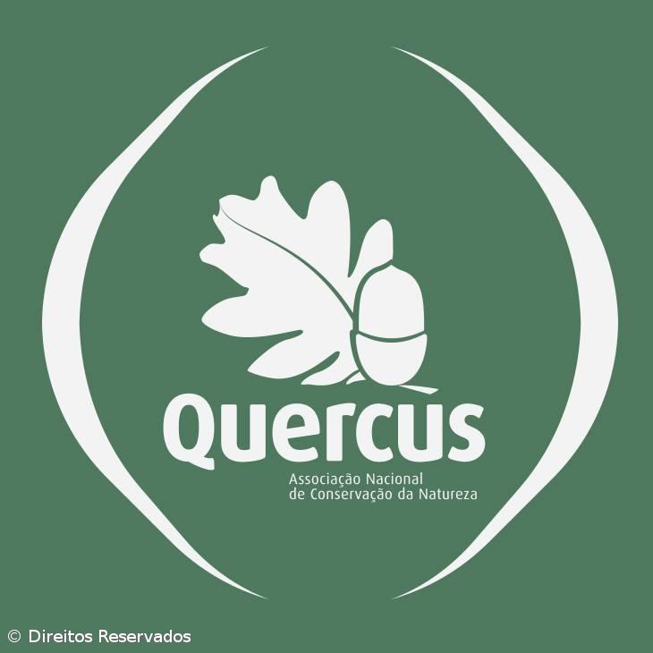 Quercus alerta para o elevado desperdício energético do ar condicionado portátil – Imagem 1
