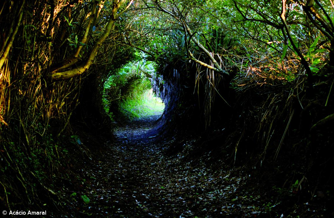 Um convite a férias seguras com a natureza e cultura no roteiro – Imagem 2