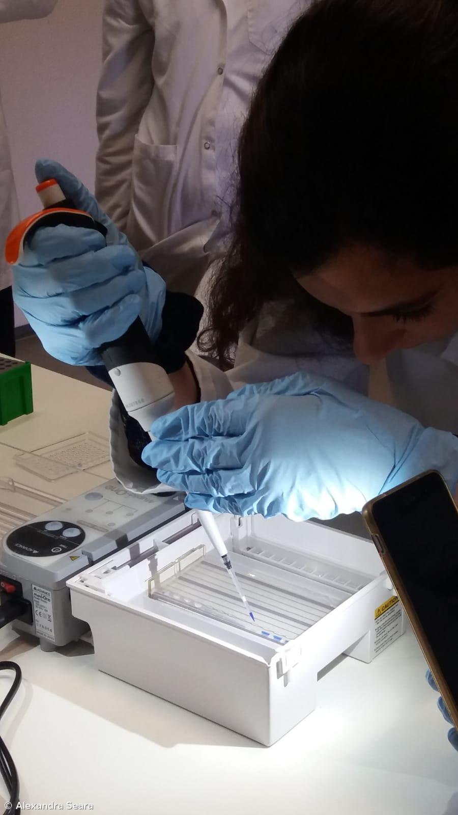 A Fascíola Hepática nos Açores. Como Fizemos... Conclusões do estudo – Imagem 8