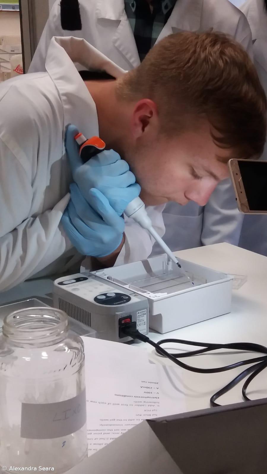 A Fascíola Hepática nos Açores. Como Fizemos... Conclusões do estudo – Imagem 9