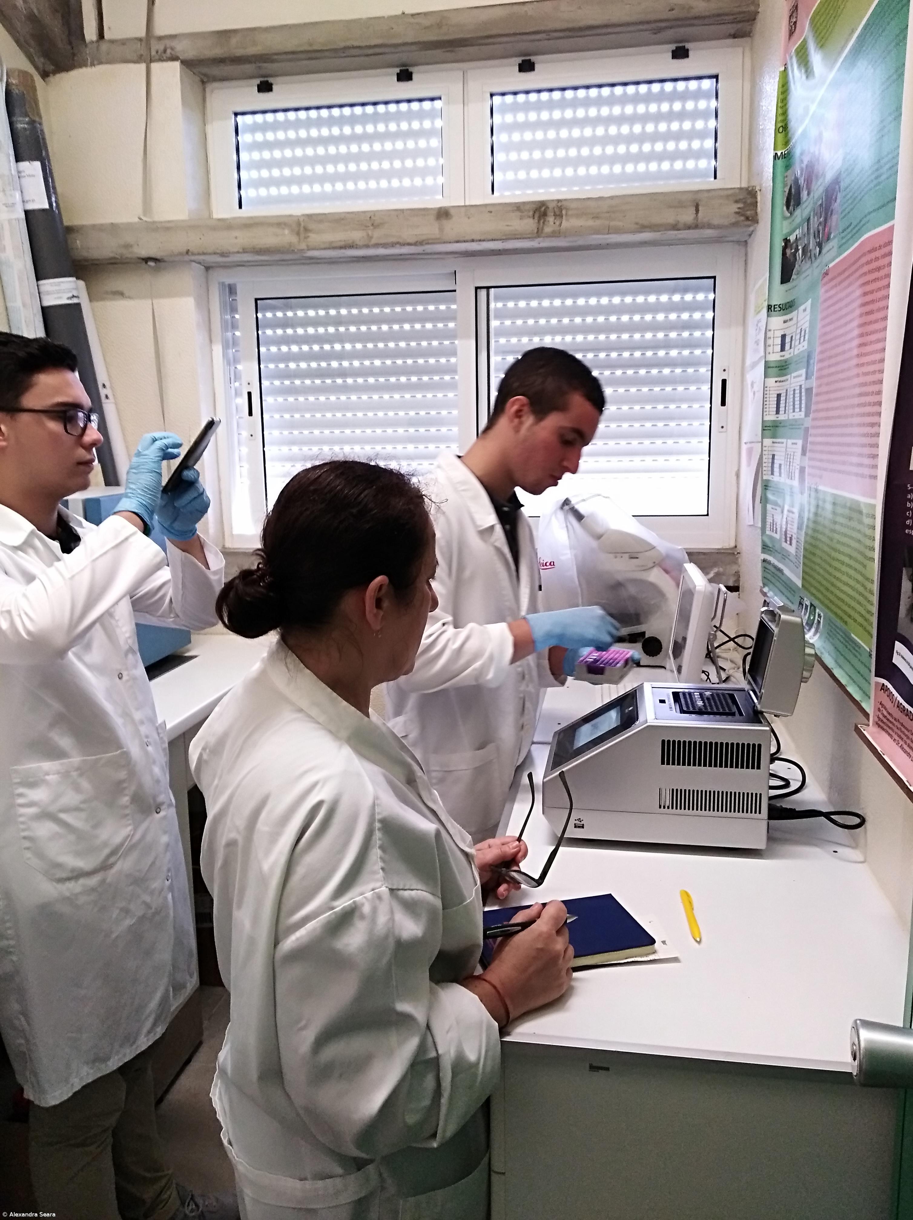 A Fascíola Hepática nos Açores. Como Fizemos... Conclusões do estudo – Imagem 10