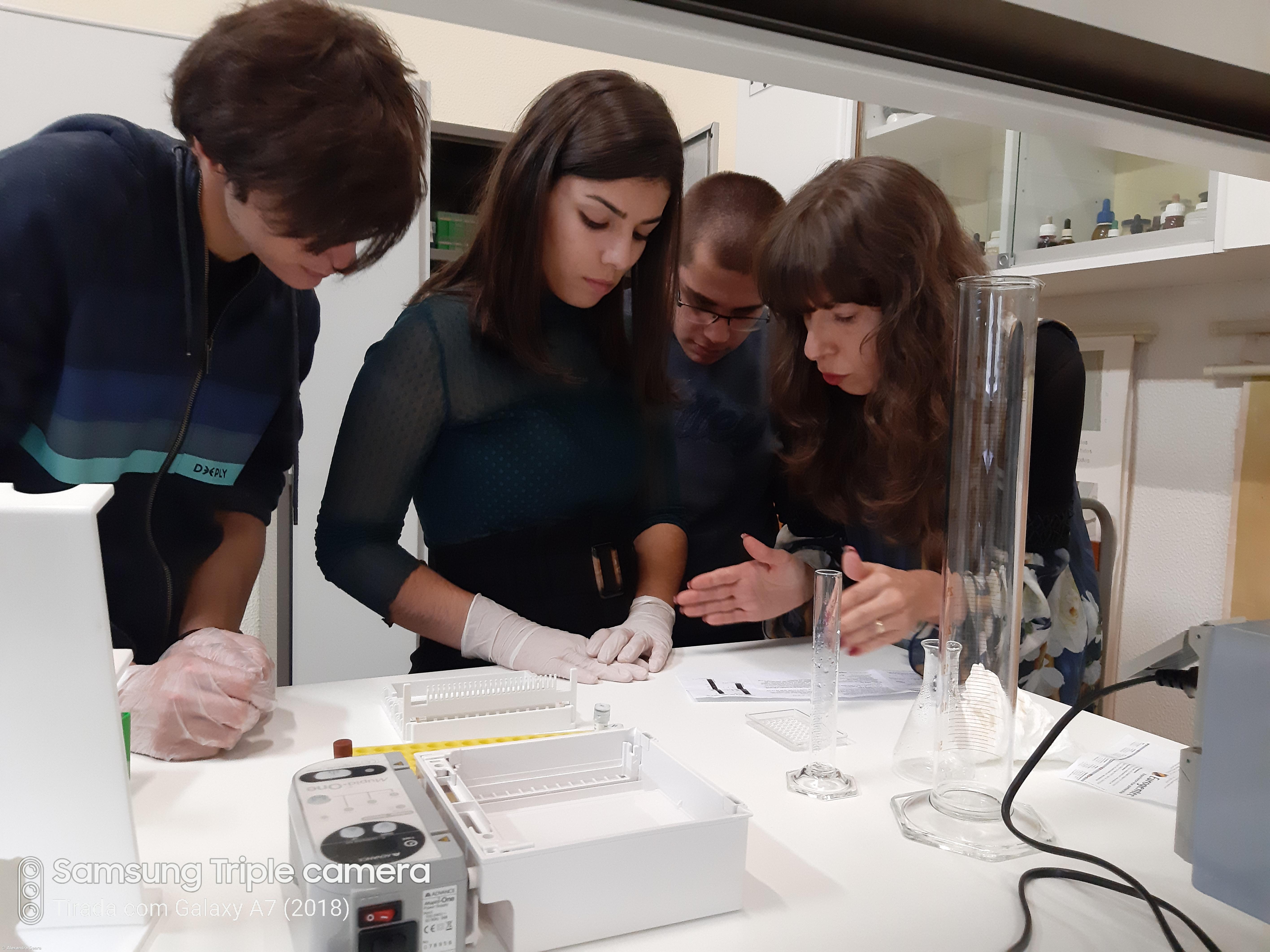 A Fascíola Hepática nos Açores. Como Fizemos... Conclusões do estudo – Imagem 11