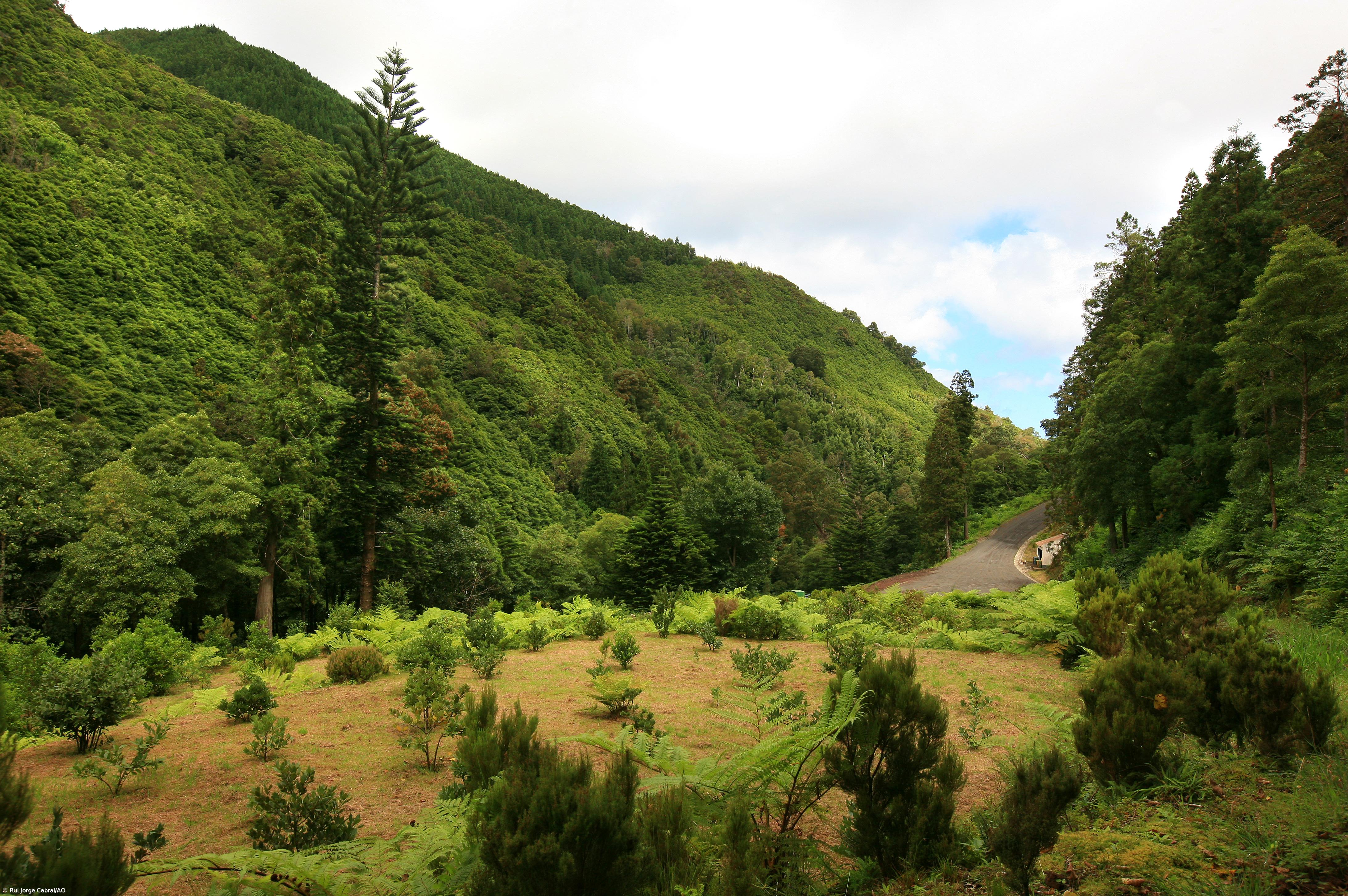 Fajã do Rodrigo vai reabrir em 2021 com trilho pedestre – Imagem 1