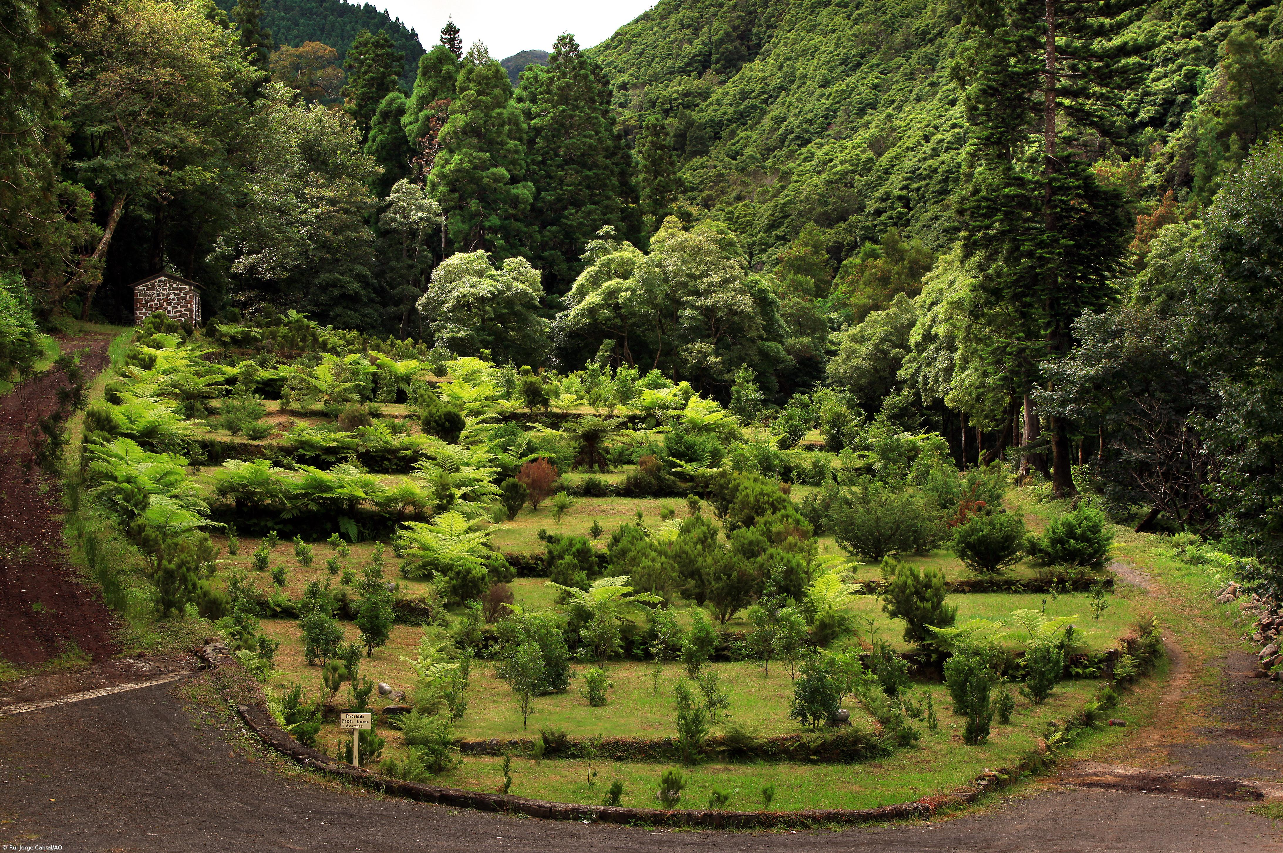 Fajã do Rodrigo vai reabrir em 2021 com trilho pedestre – Imagem 2