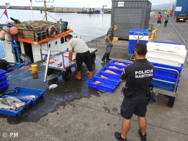 Polícia Marítima da Horta apreende 700 quilos de pescado capturado em área protegida – Imagem 1