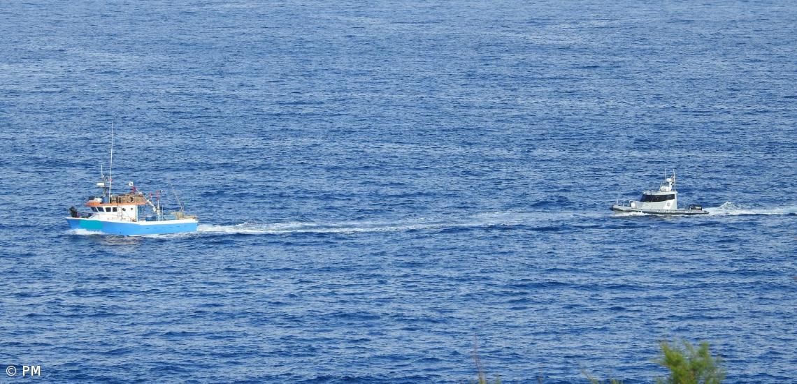 Polícia Marítima da Horta apreende 700 quilos de pescado capturado em área protegida – Imagem 2