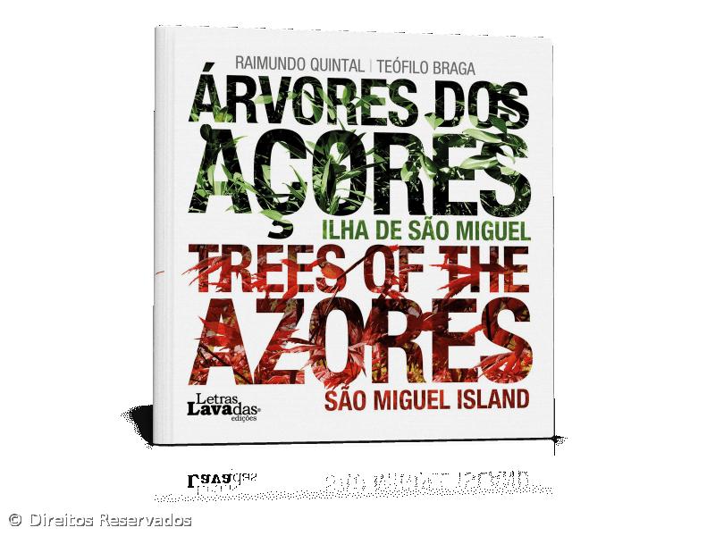 Letras Lavadas promove Roteiro das Plantas de Ponta Delgada – Imagem 1