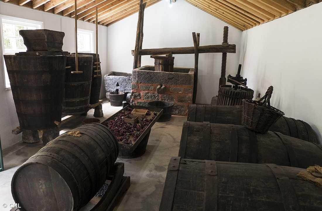 Núcleos Museológicos da Adega e da Casa Museu Maria dos Anjos Melo inaugurados  – Imagem 1