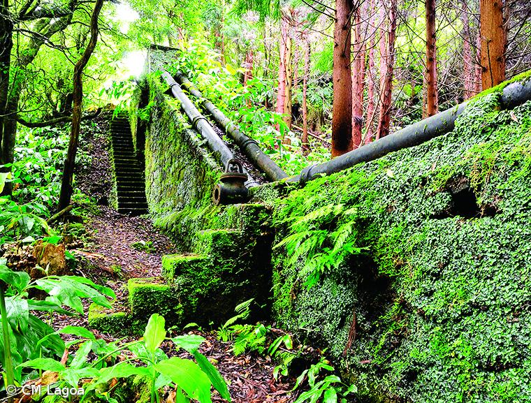 Lagoa com saldo financeiro positivo de 848 mil euros – Imagem 3