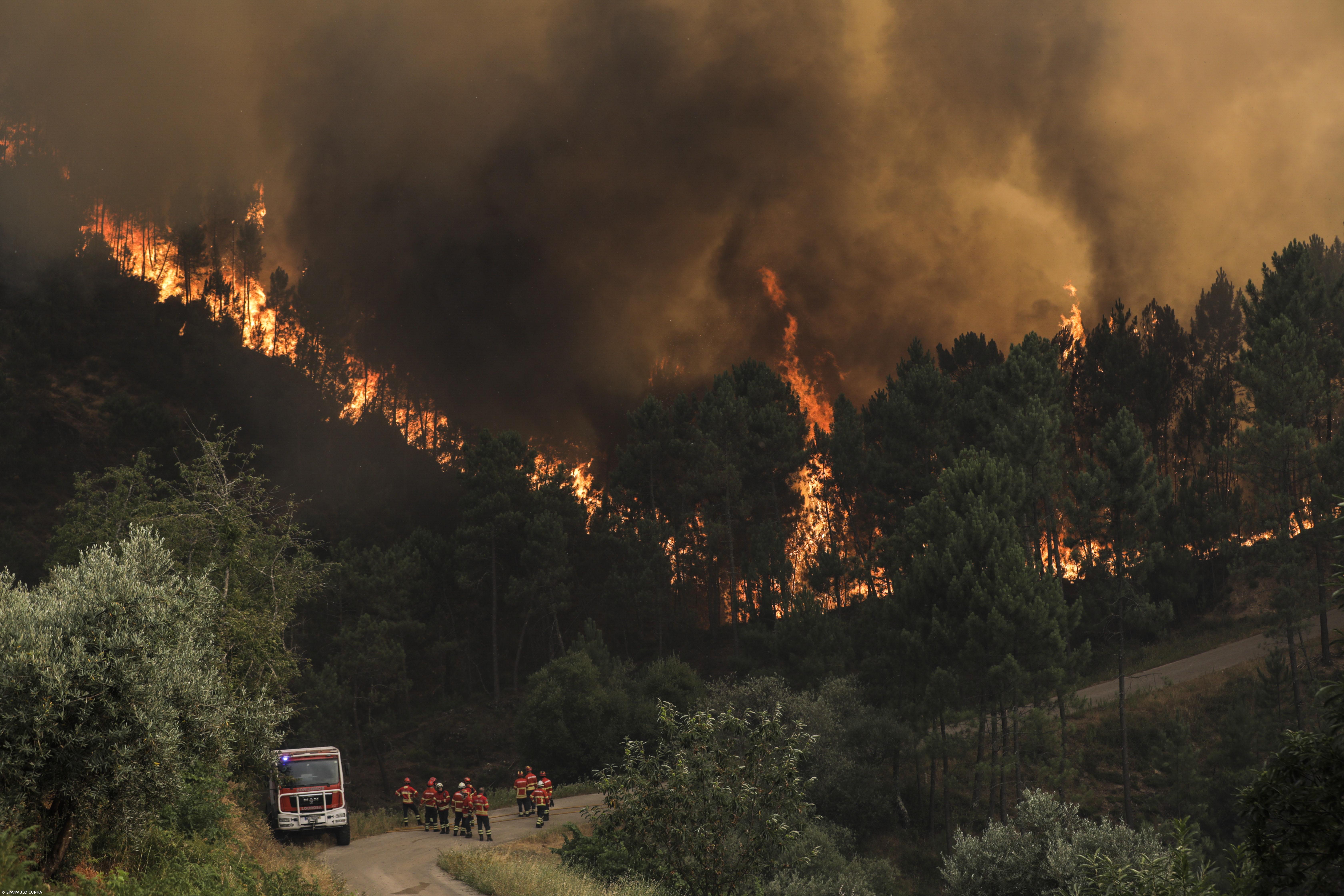18 concelhos do interior centro e Algarve em perigo muito elevado – Imagem 1
