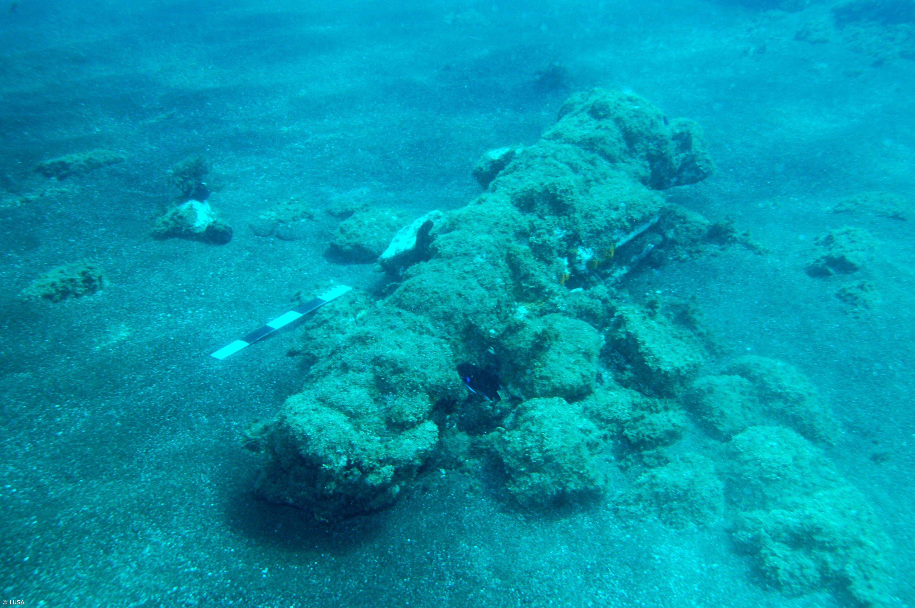Mais de 600 naufrágios dão potencial arqueológico "enormíssimo" aos Açores – Imagem 1