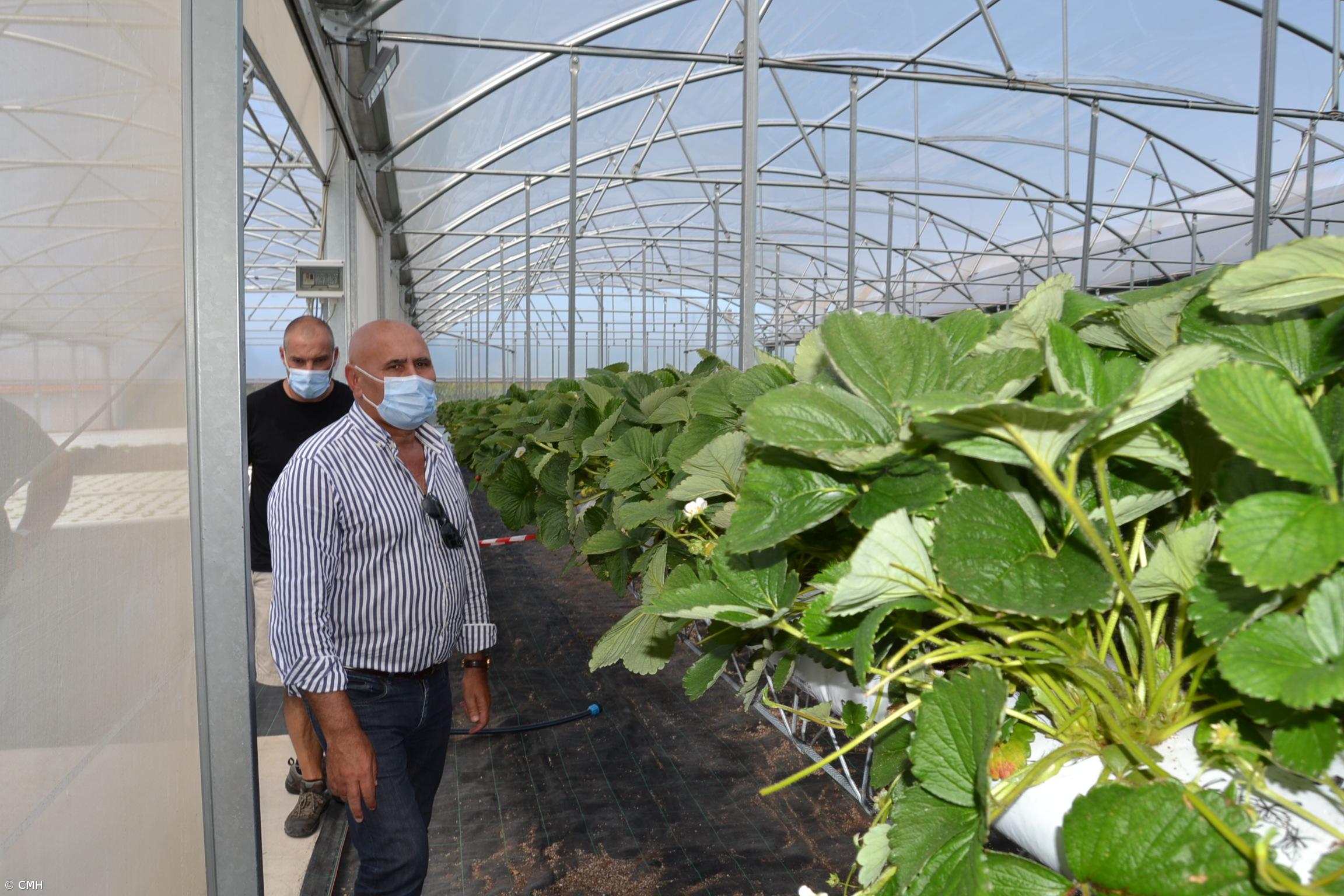 Empreendedorismo jovem na ilha do Faial – Imagem 2