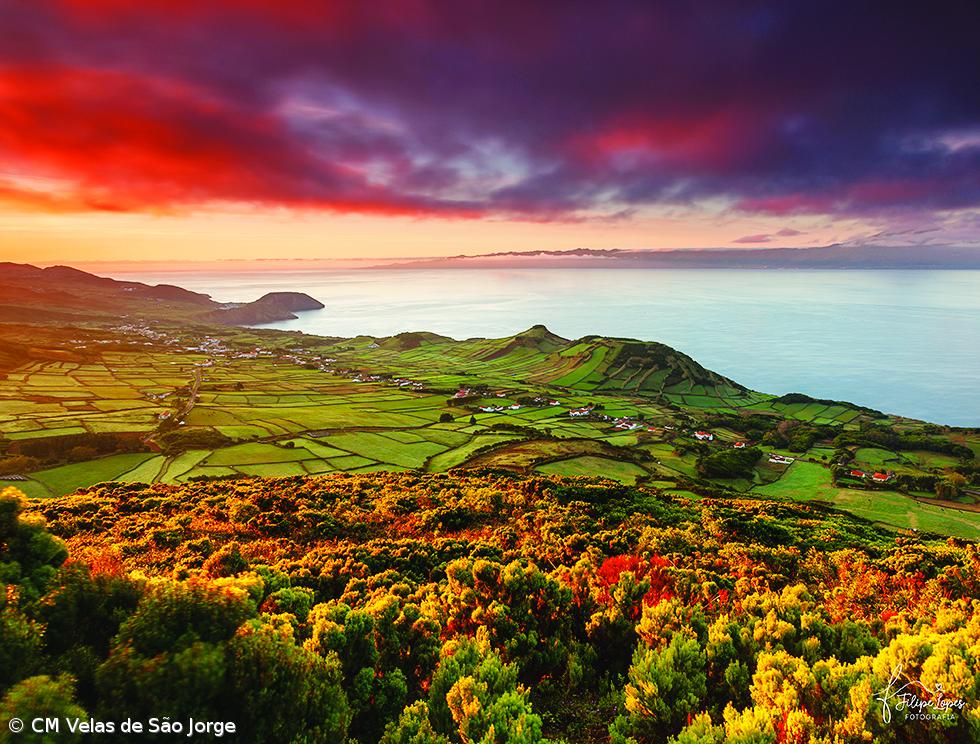 A taxa de criminalidade  é nula há oito anos seguidos – Imagem 2
