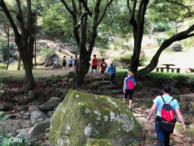 Passeio pedestre no Nordeste contribui para Liga Contra o Cancro  – Imagem 3