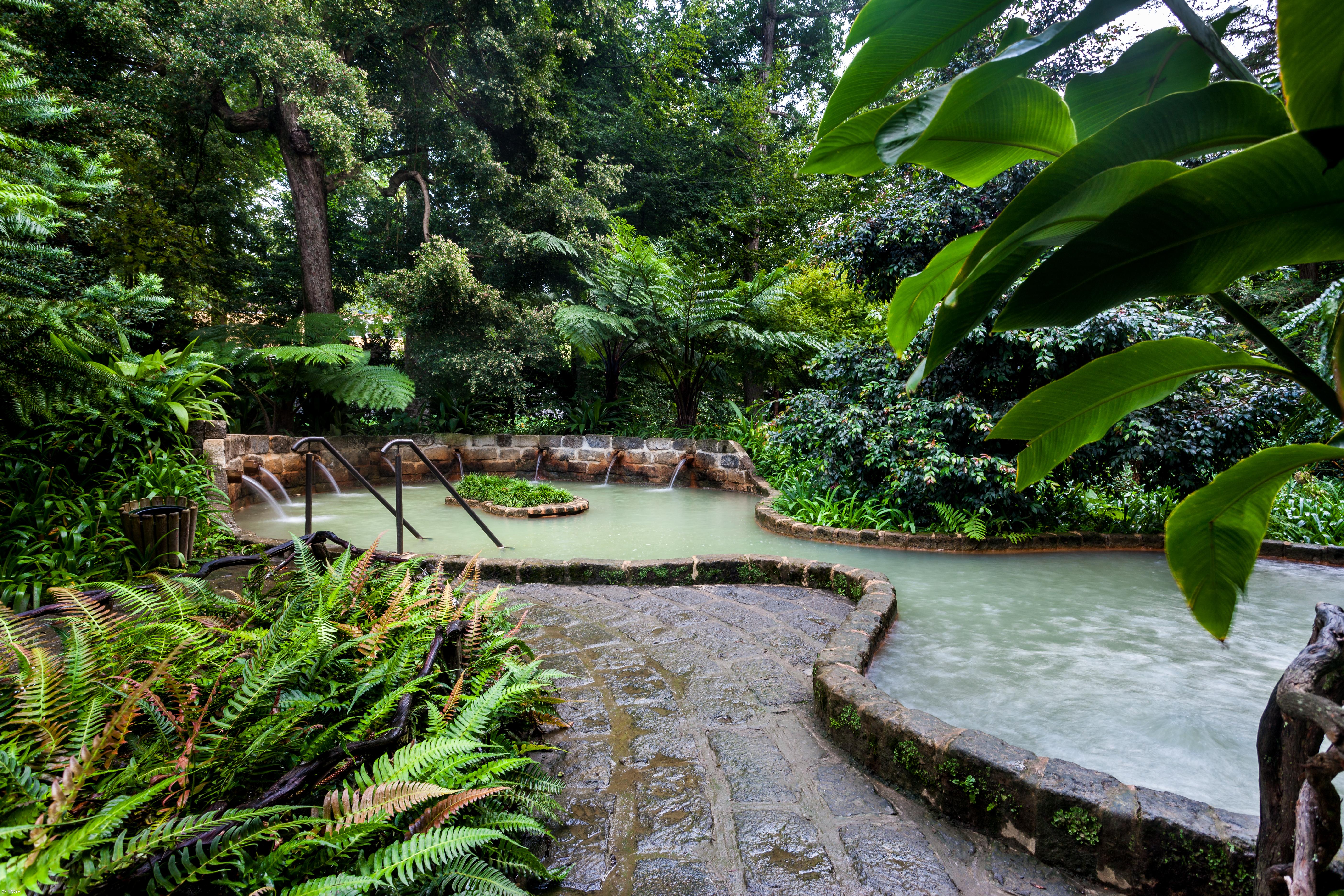 Parque Terra Nostra reabre Tanque Termal e Jacuzzis  – Imagem 2