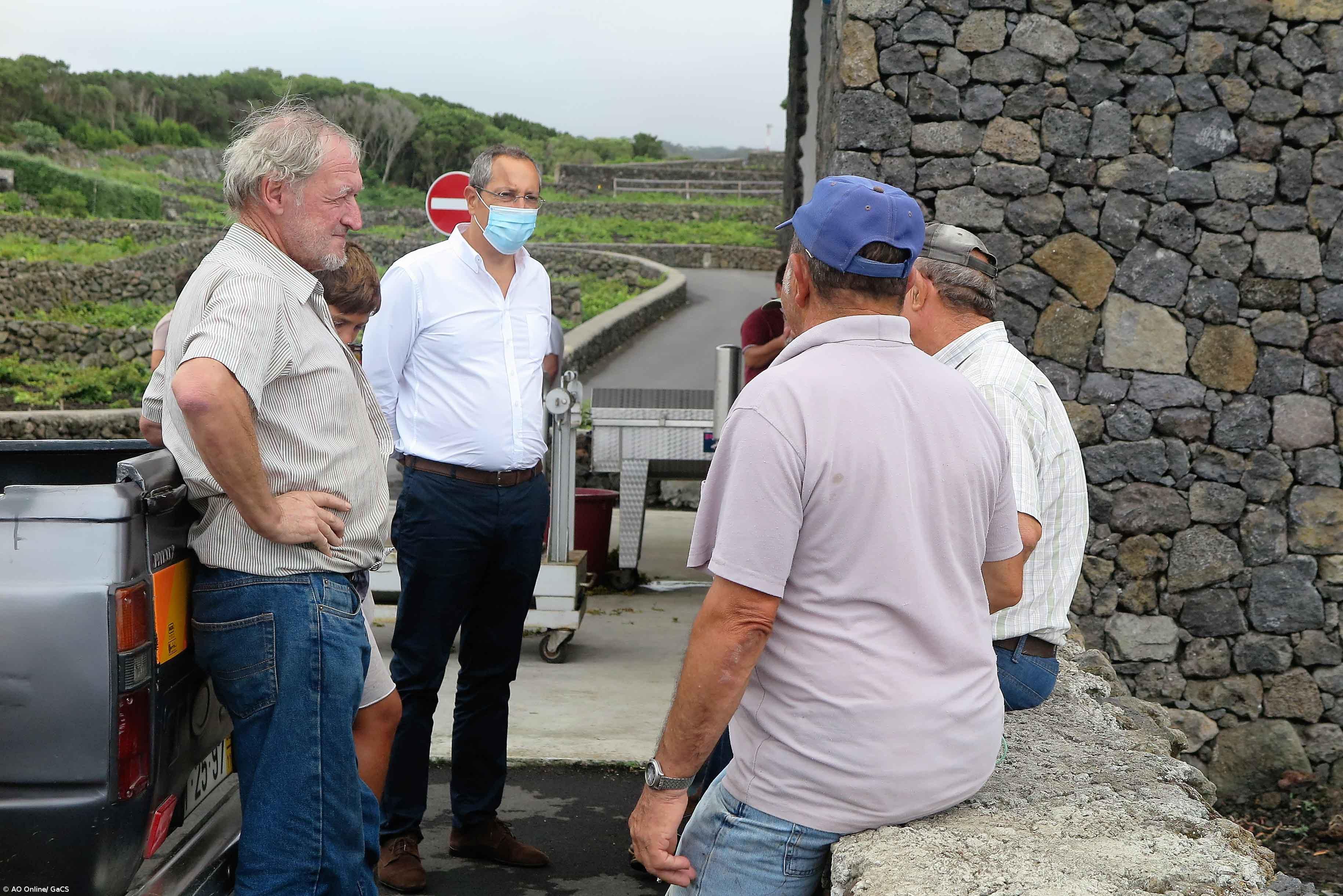 Governo dos Açores destaca importância das medidas de apoio ao setor do vinho para responder aos desafios da pandemia – Imagem 1