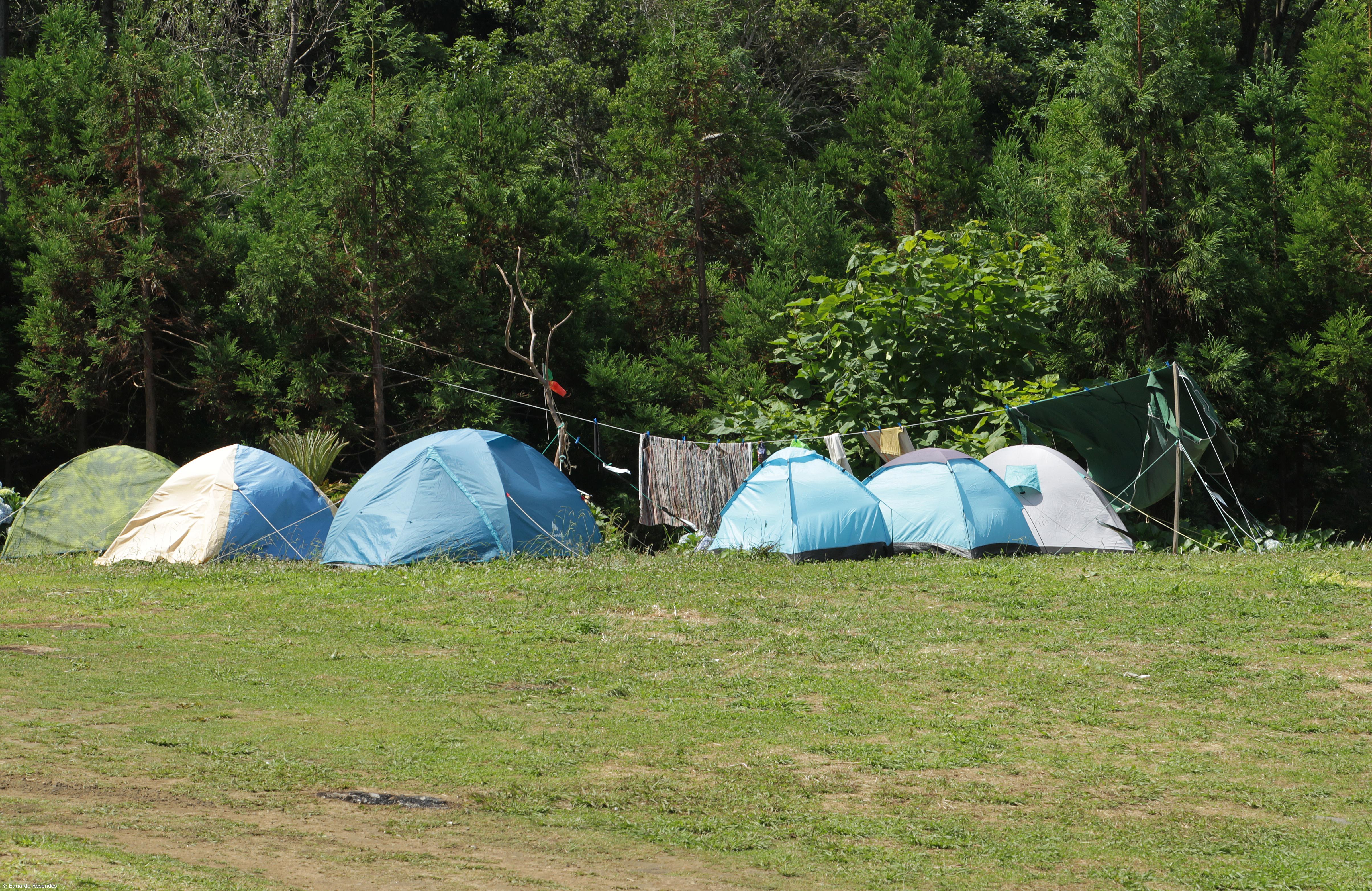 Campismo selvagem tem sido um “desafio” nos merendários – Imagem 1