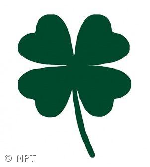 MPT candidata Pedro Pimenta para “abanar” a governação socialista – Imagem 1