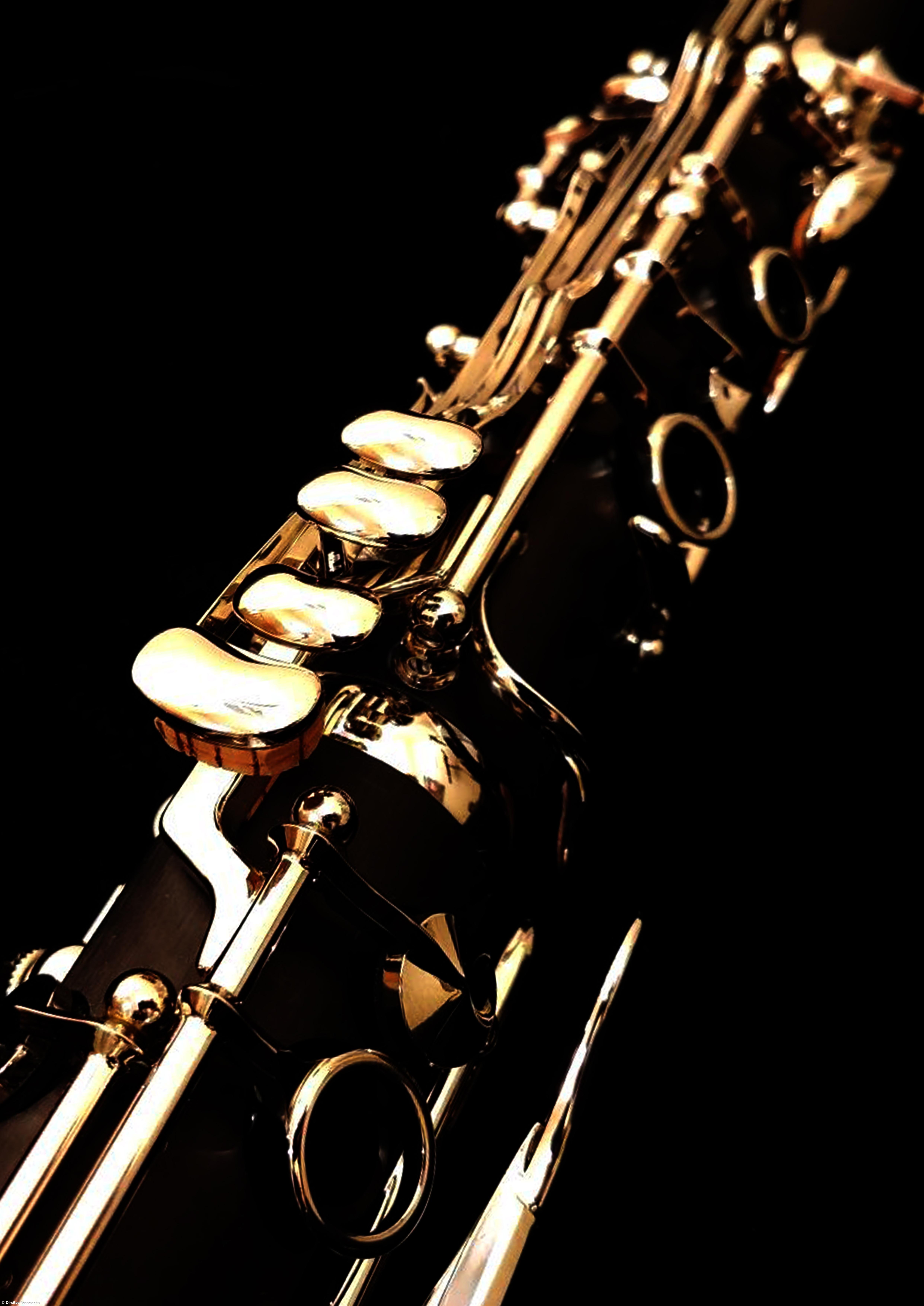 ArQuinteto em concerto no fim de semana – Imagem 1