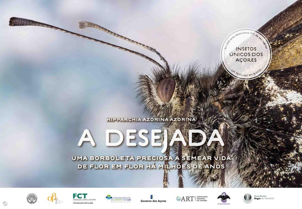 Insects that are millions of years old and 'worth' millions of Euros – Imagem 1