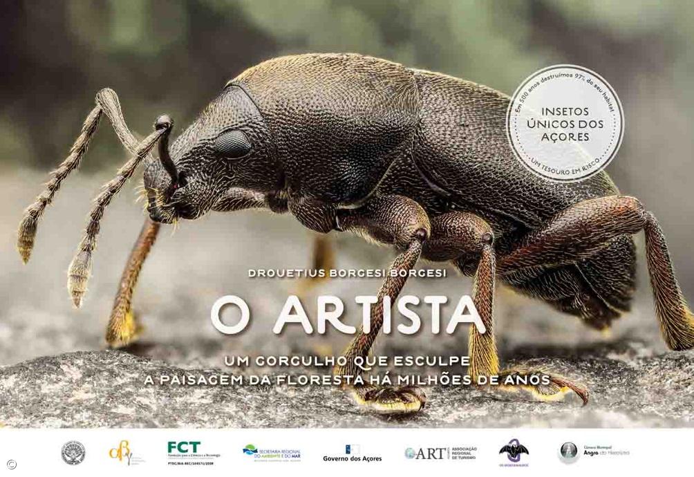Insects that are millions of years old and 'worth' millions of Euros – Imagem 3