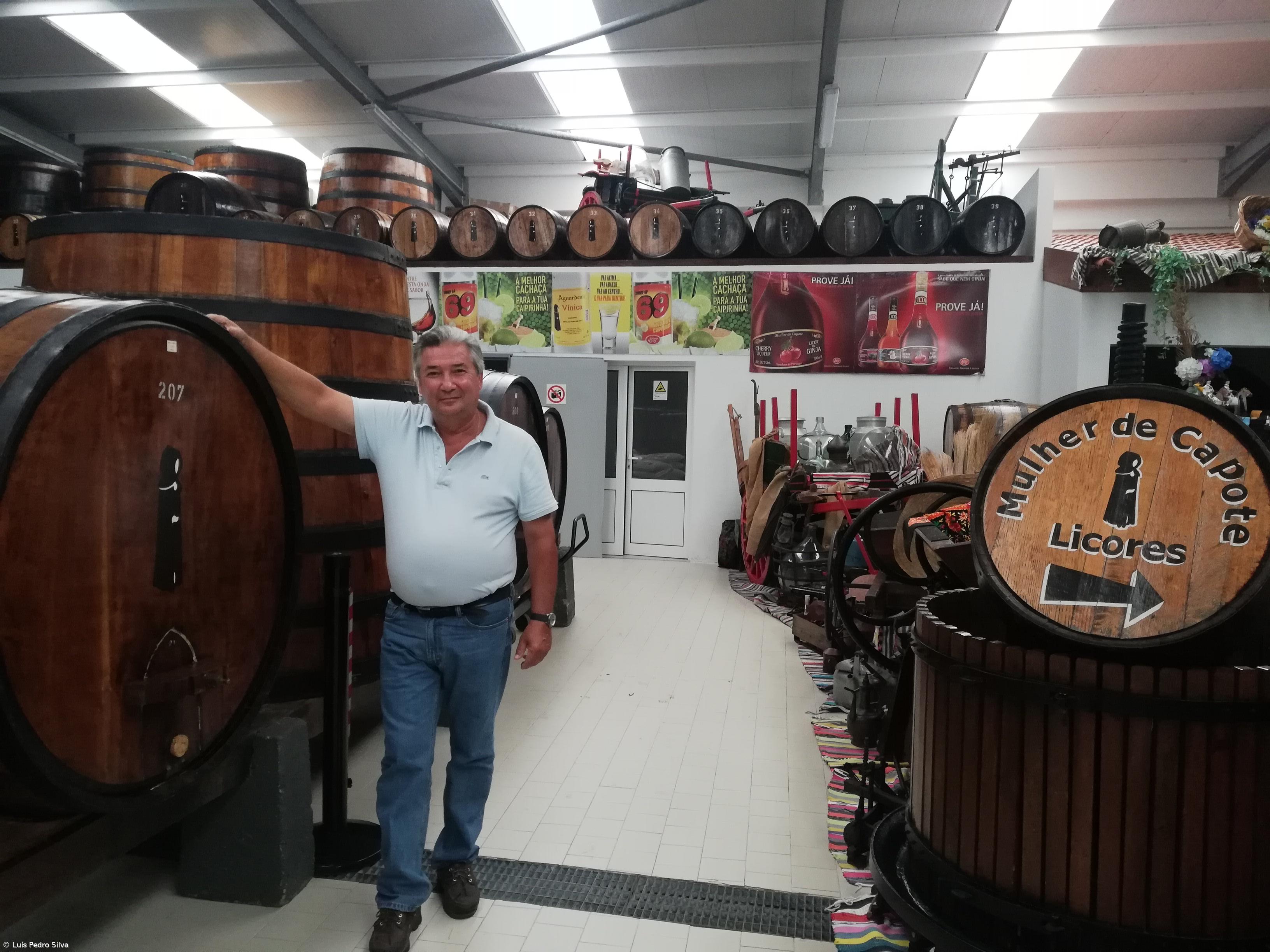 Devem existir mais incentivos para a produção de cana do açúcar nos Açores – Imagem 1