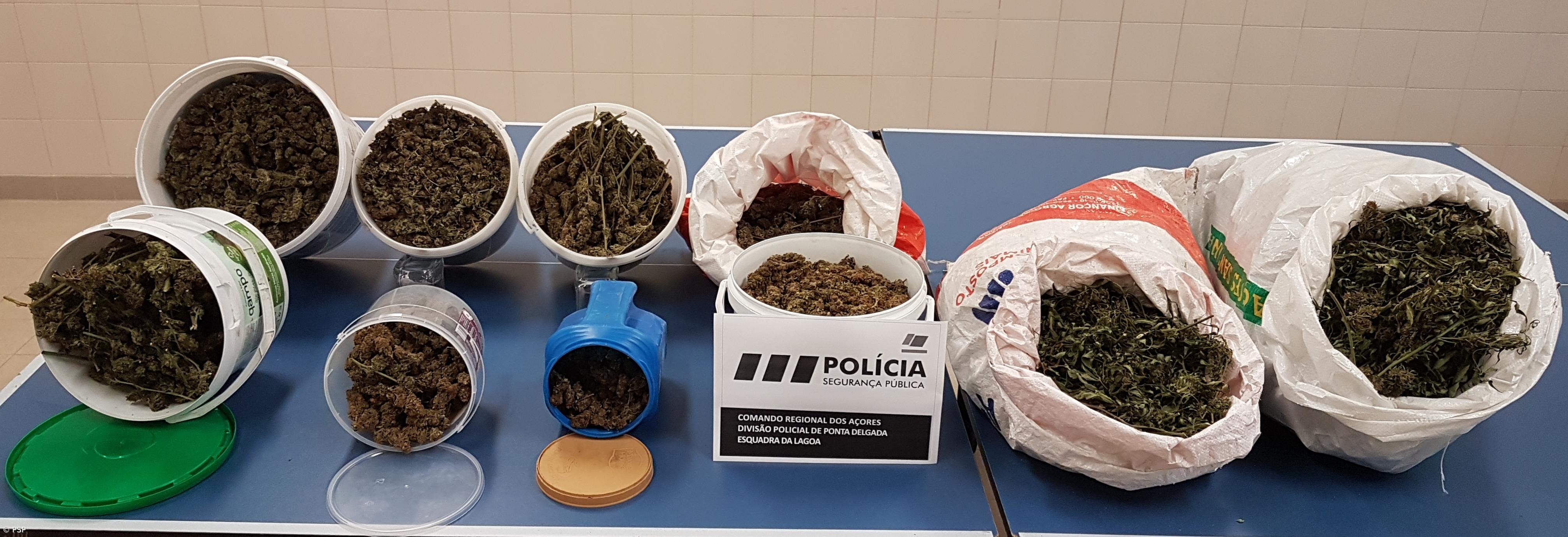 Detidos dois alegados traficantes e apreendidos 12 quilos de liamba – Imagem 3