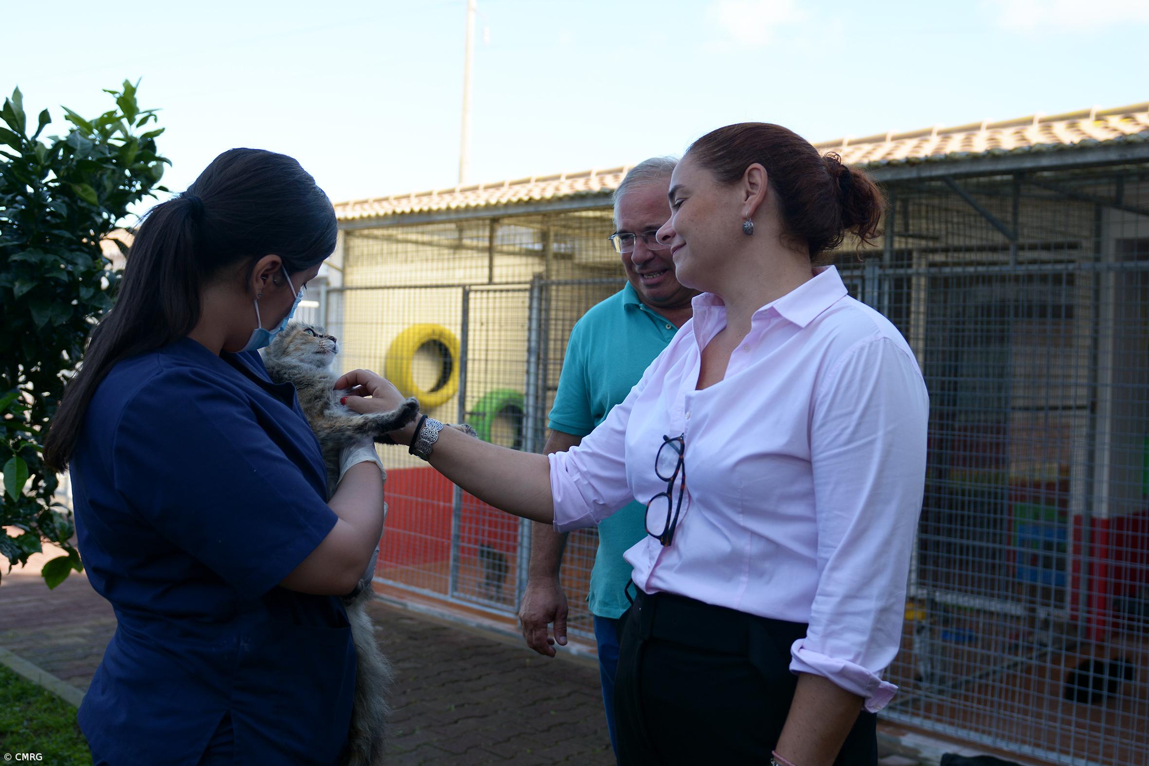 Casa dos Animais da Ribeira Grande classificada como Centro de Recolha Oficial – Imagem 2