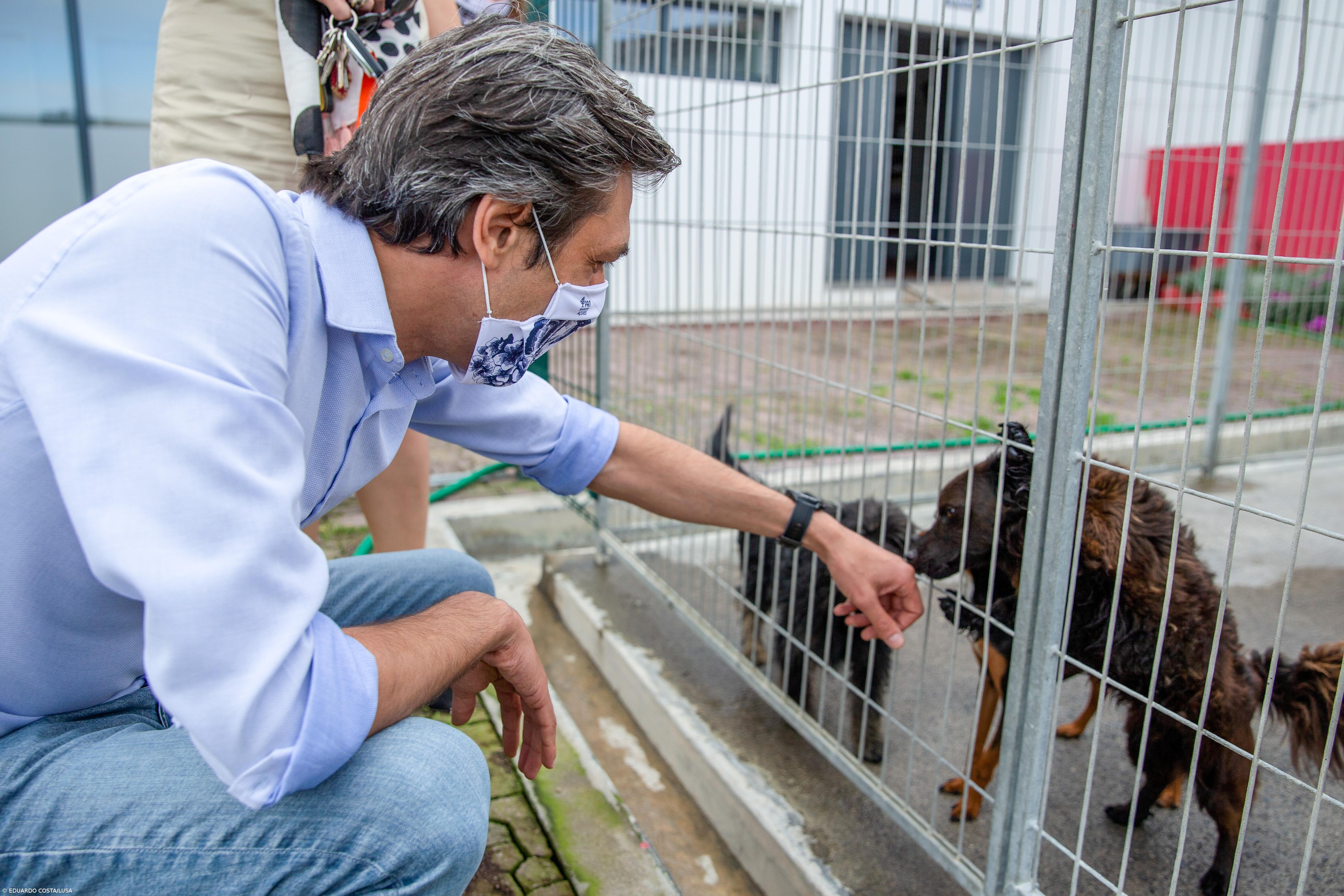  PAN quer acabar com abate de animais  – Imagem 1