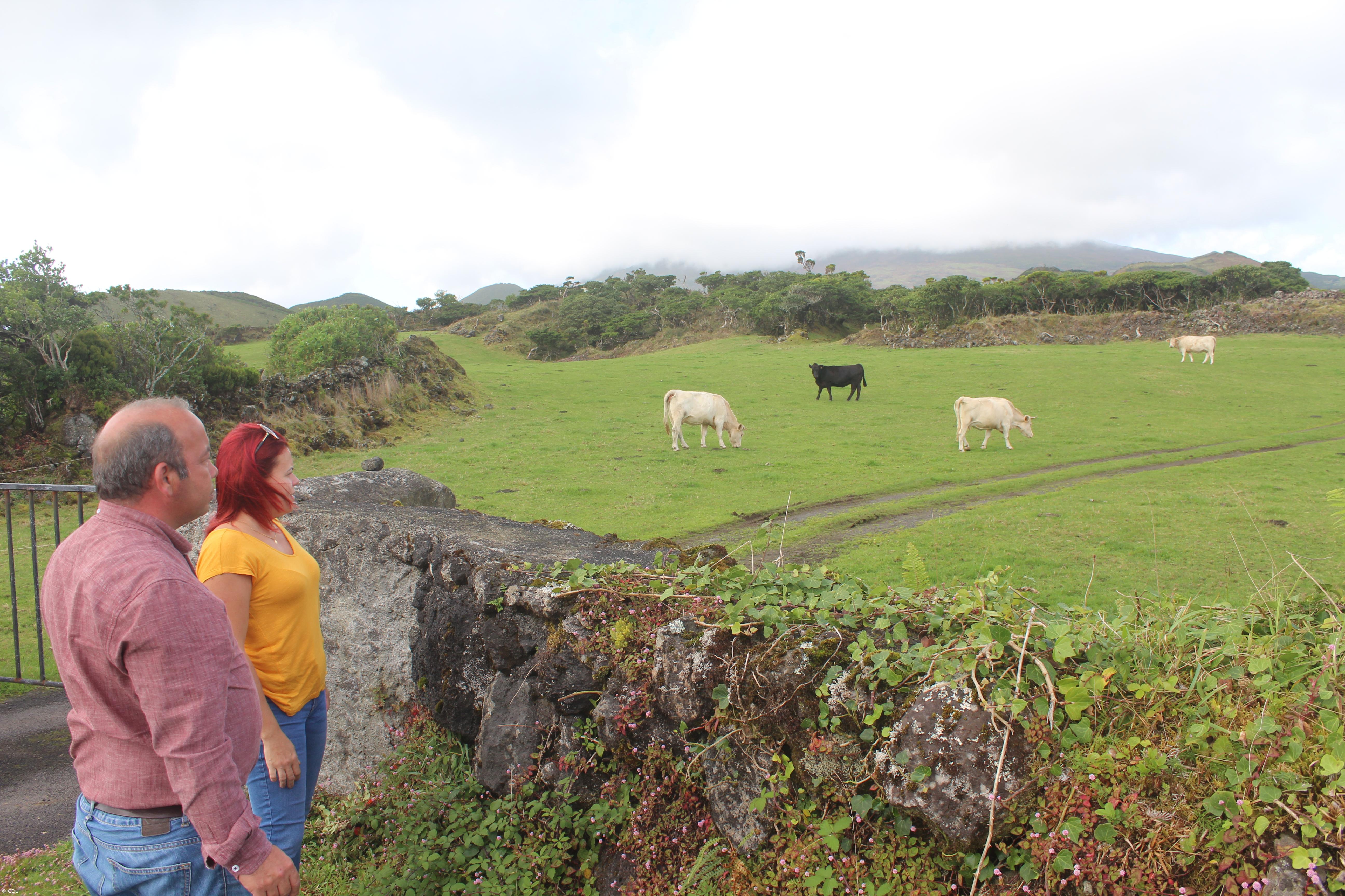CDU quer POSEI de transportes para uniformizar custos de produção agrícola – Imagem 1