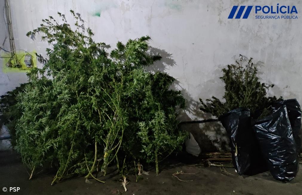 Dois homens detidos por suspeita de tráfico de estupefaciente – Imagem 1