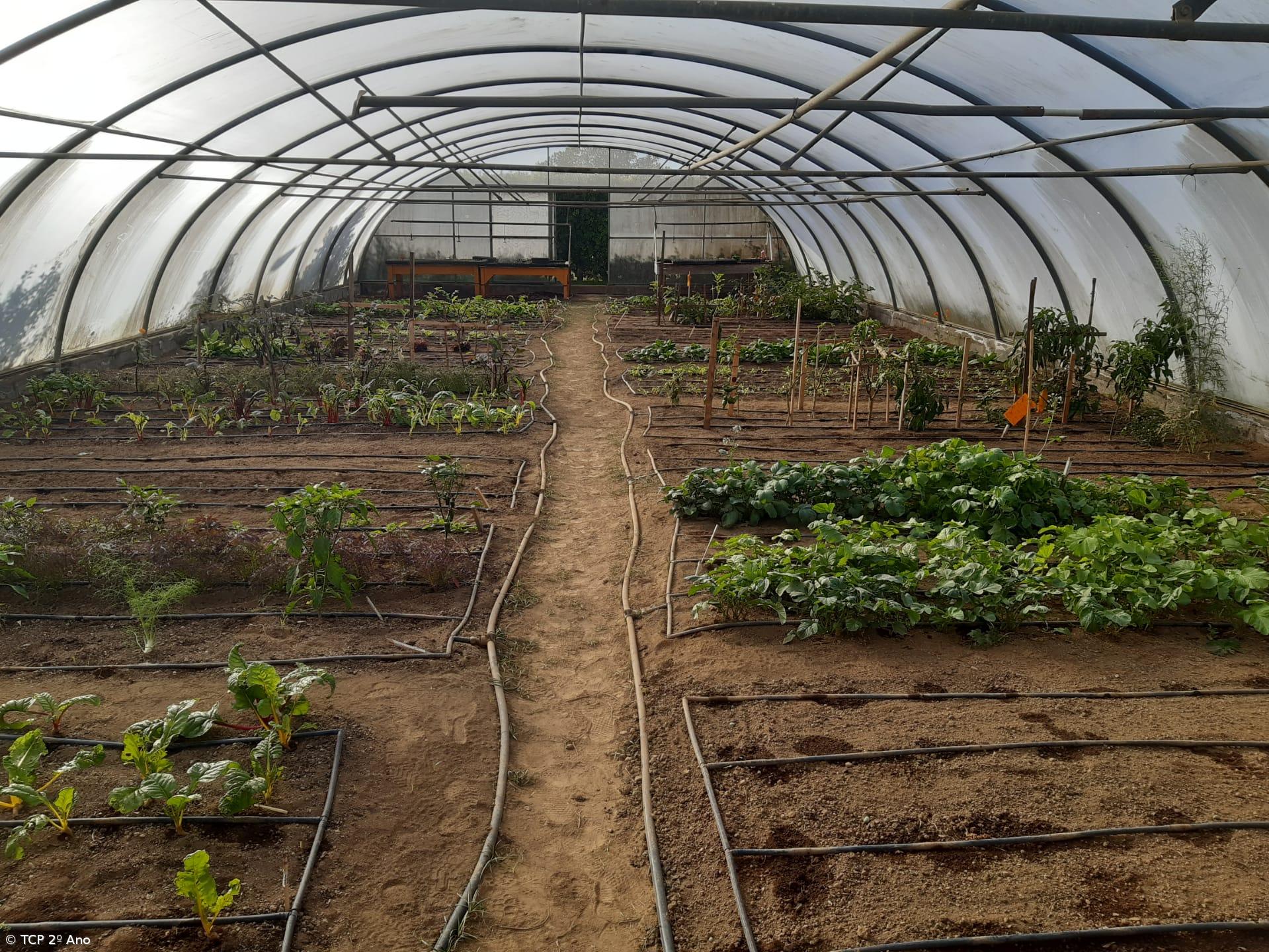 Produtos livres de pesticidas utilizados na EFTH – Imagem 1