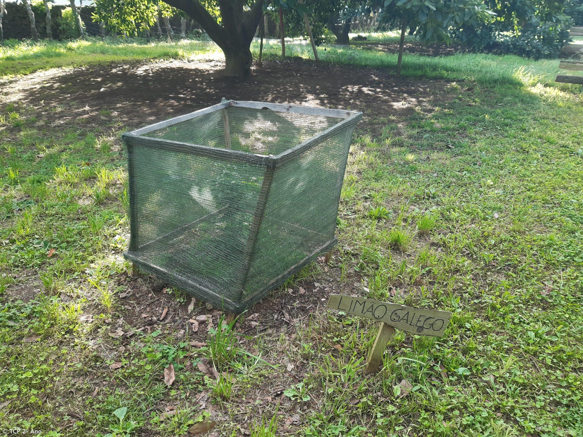 Produtos livres de pesticidas utilizados na EFTH – Imagem 8